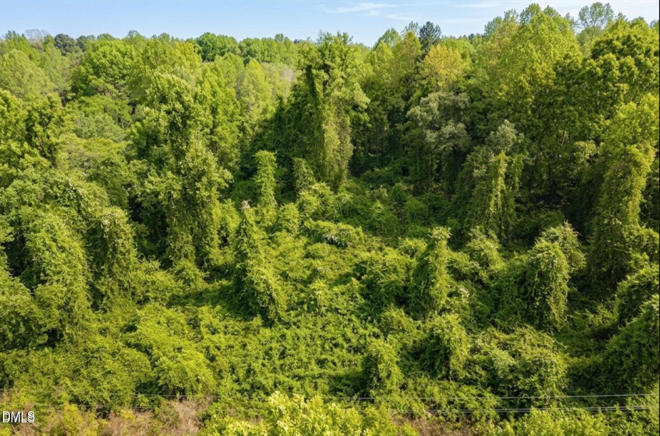4 - 8438 Charlie Stovall Road, Oxford, NC 27565