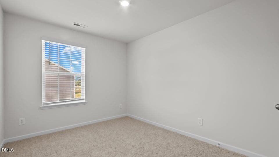 51-custom-LHV_7386 - 109 Kimber Drive, Rocky Mount, NC 27804