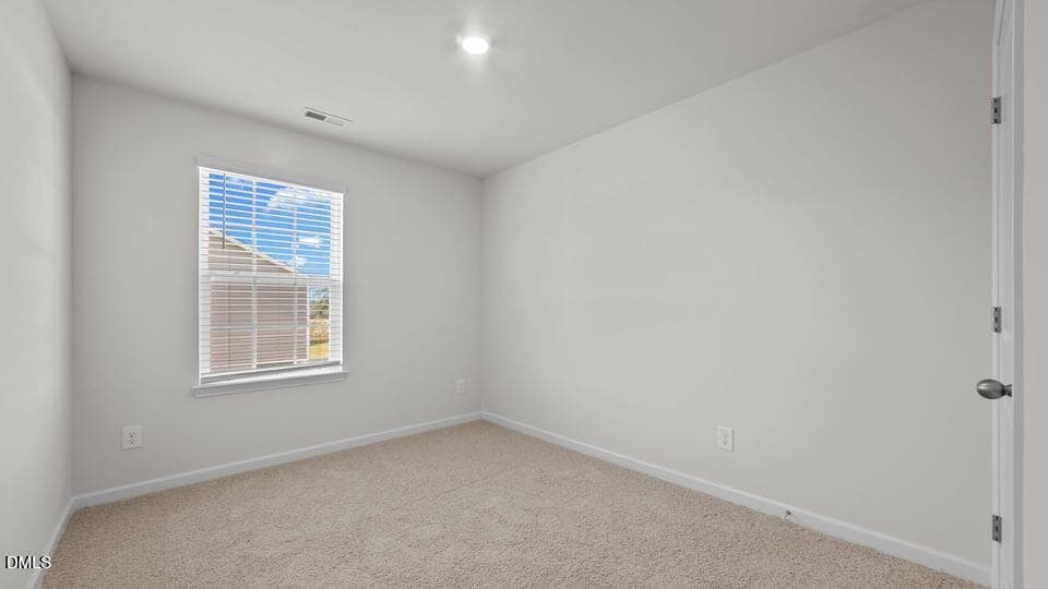 104-custom-LHV_7386 - 125 Kimber Drive, Rocky Mount, NC 27804