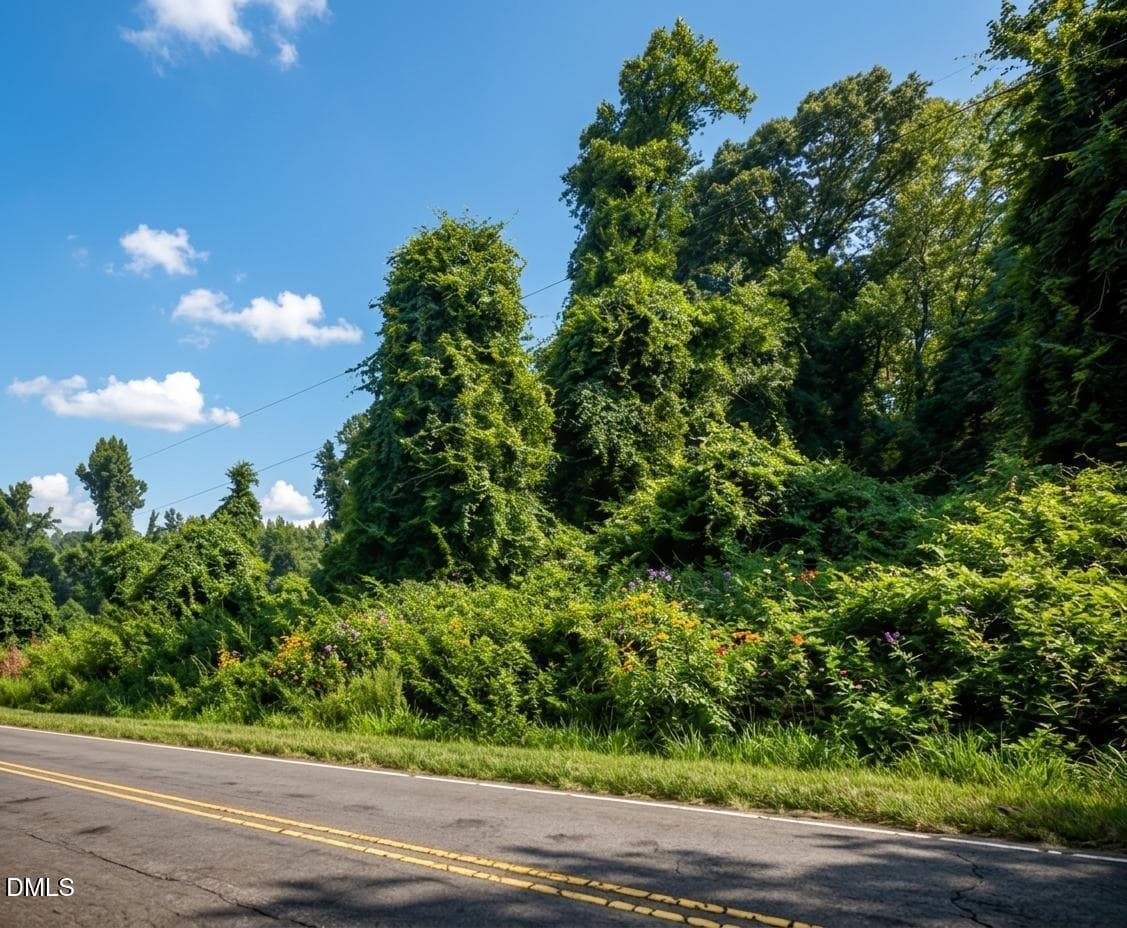 collov-ai_20260729153819_tvzcke - 8438 Charlie Stovall Road, Oxford, NC 27565