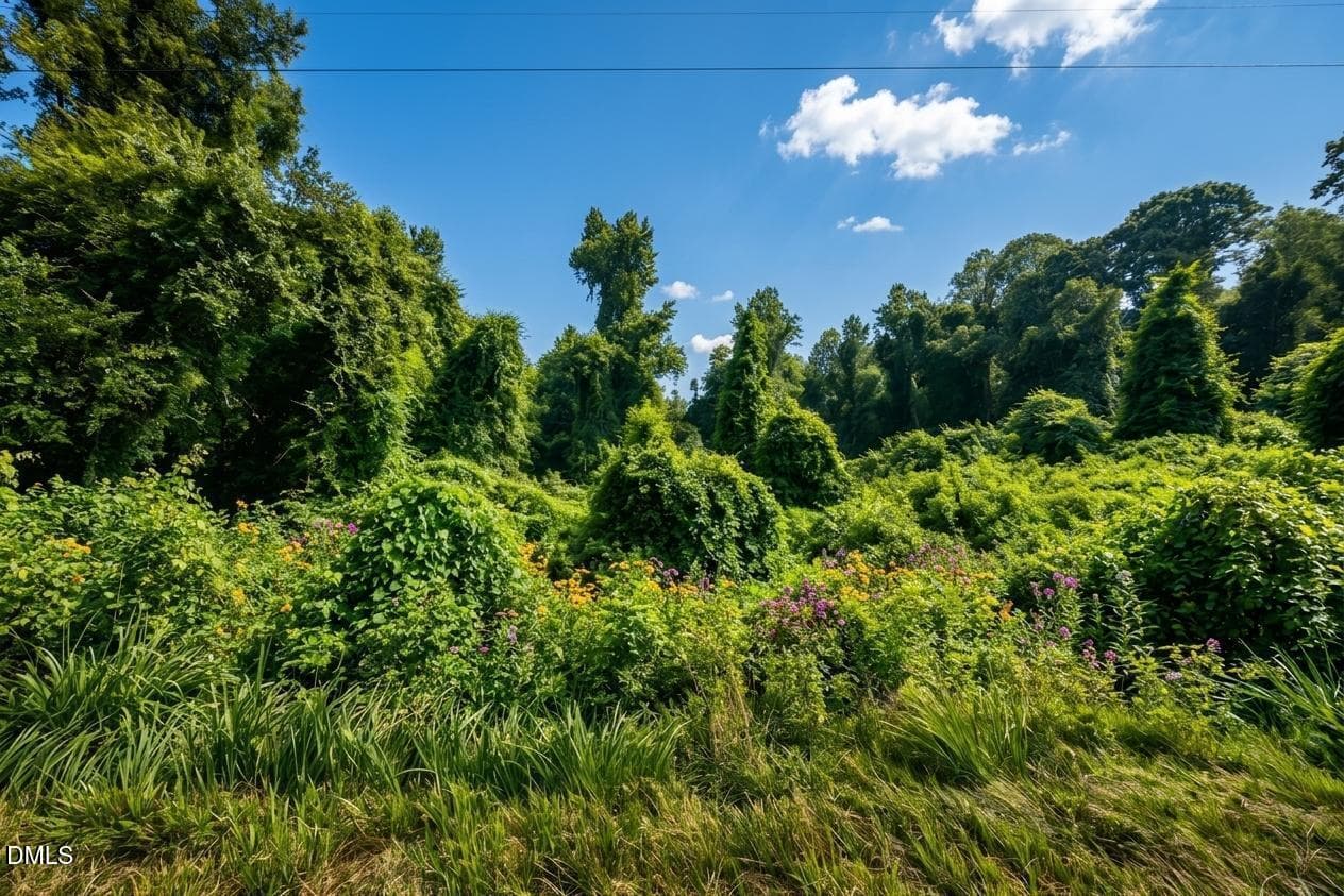 collov-ai_20260729154217_qit2hr - 8438 Charlie Stovall Road, Oxford, NC 27565