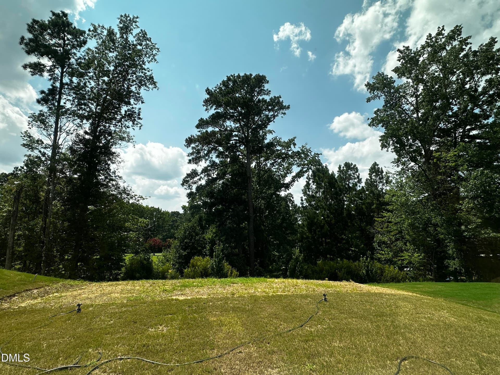 IMG_6238 - 57 Baird Cove Lane, Angier, NC 27501
