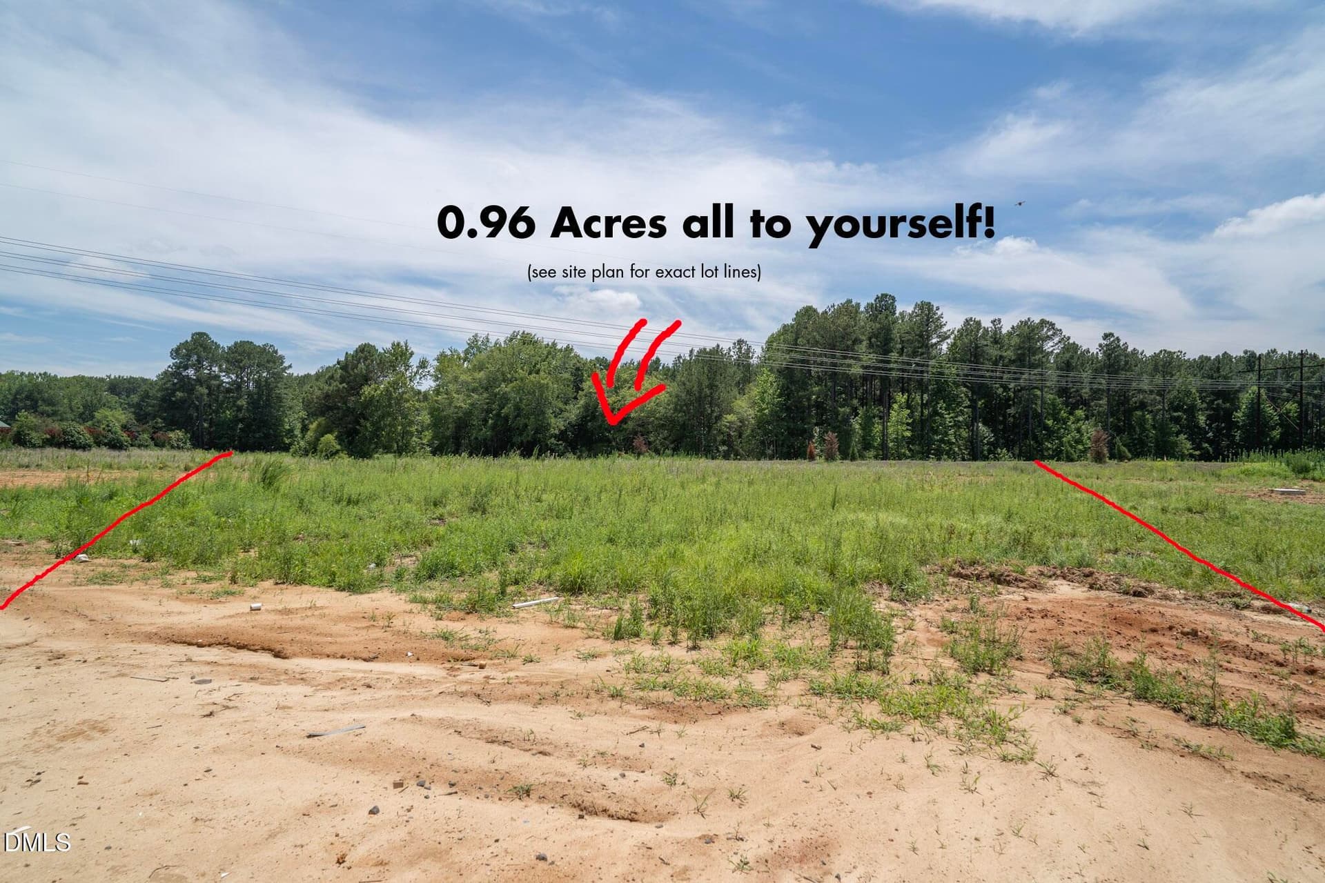 BM13_Yard - 344 Barrow Mdws Drive, Zebulon, NC 27597