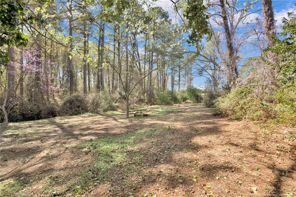 Photo 24 - 88 Hannah Creek Road, Four Oaks, NC 27524