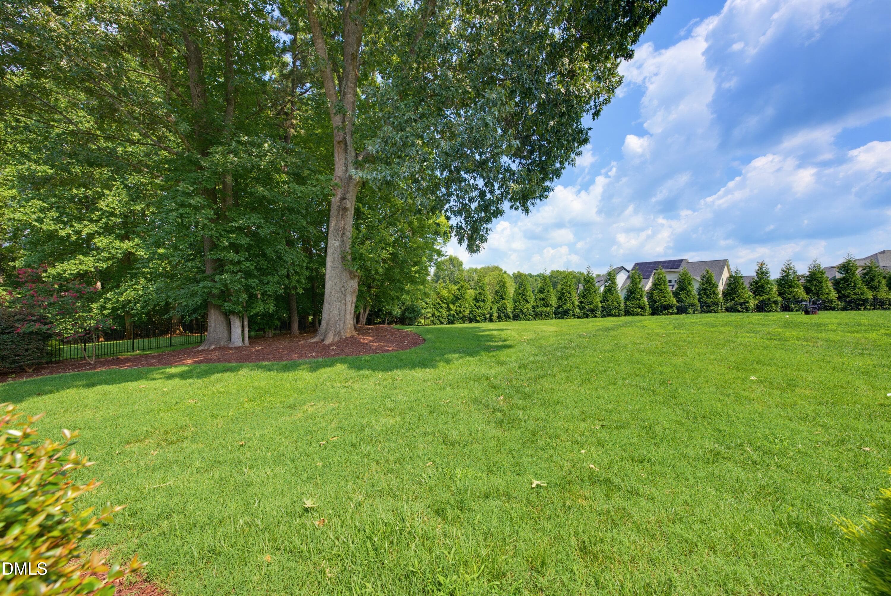 DSC02538 - 4148 Banks Stone Drive, Raleigh, NC 27603, Raleigh