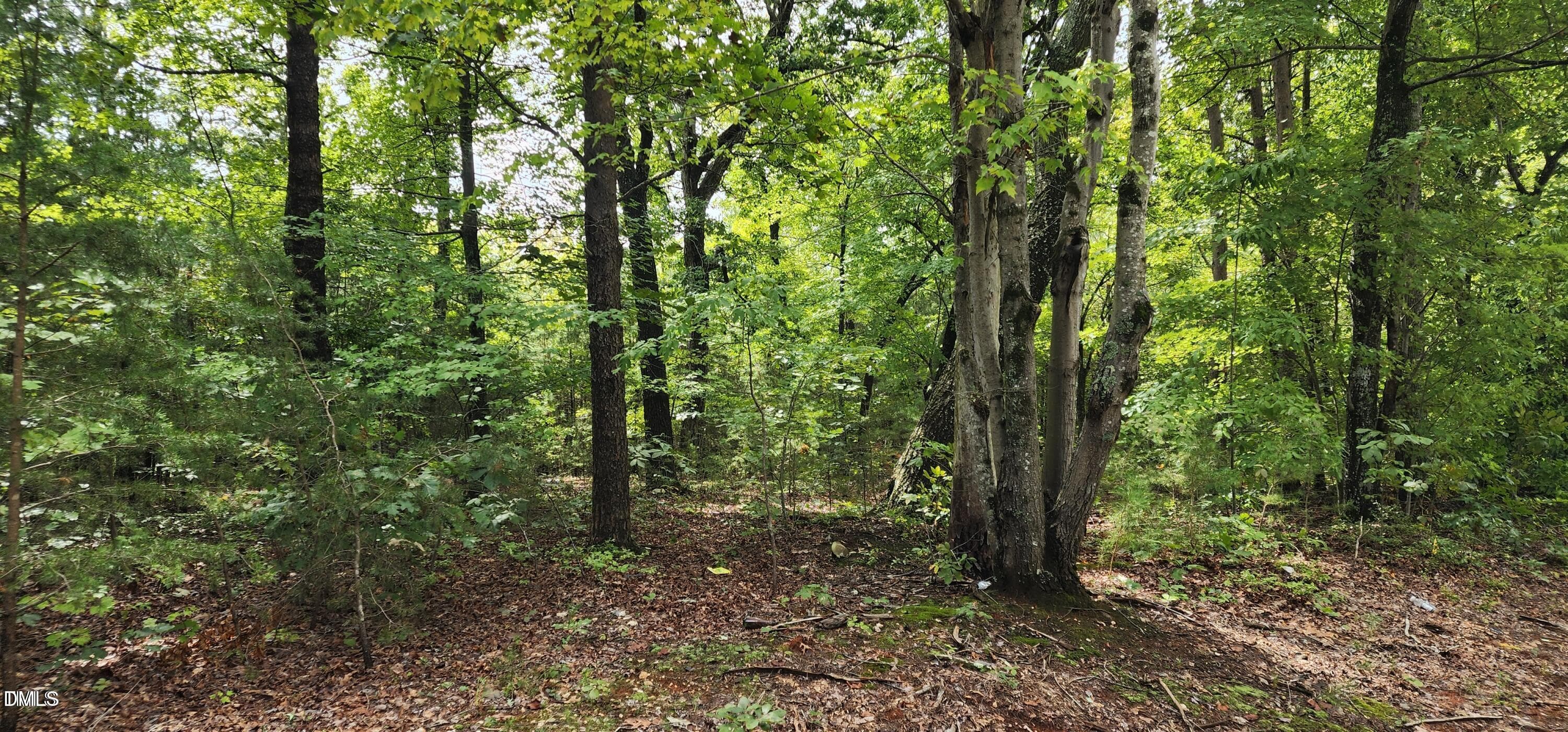 MillCreek-pic - 4501 Lot 1 Mill Creek Road, Cedar Grove, NC 27231