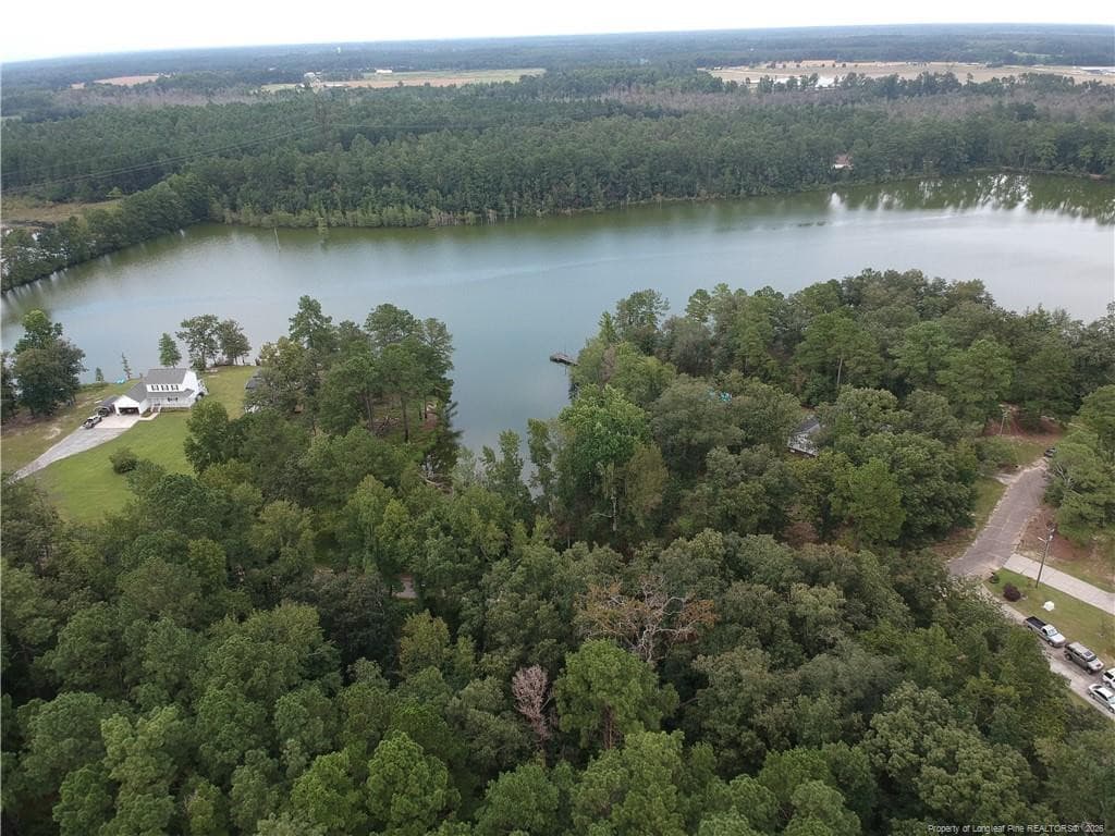 Photo 12 - 112 Lakeview Drive, Red Springs, NC 28377