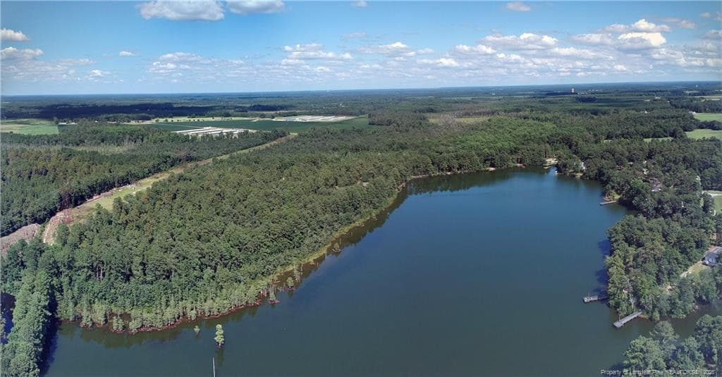 Photo 10 - 112 Lakeview Drive, Red Springs, NC 28377