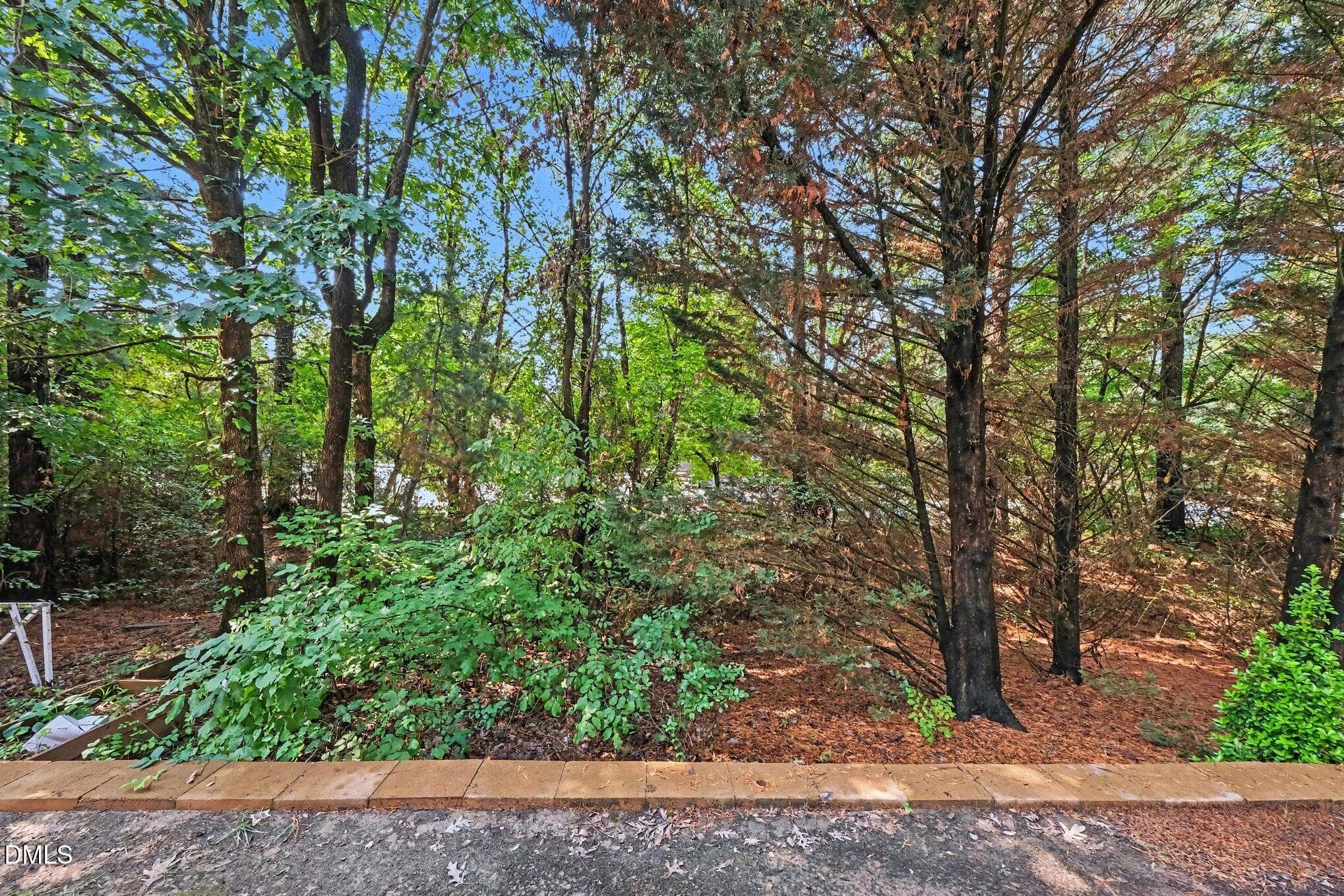 Private Greenery - 29 Edgebrook Circle, Durham, NC 27703, Durham