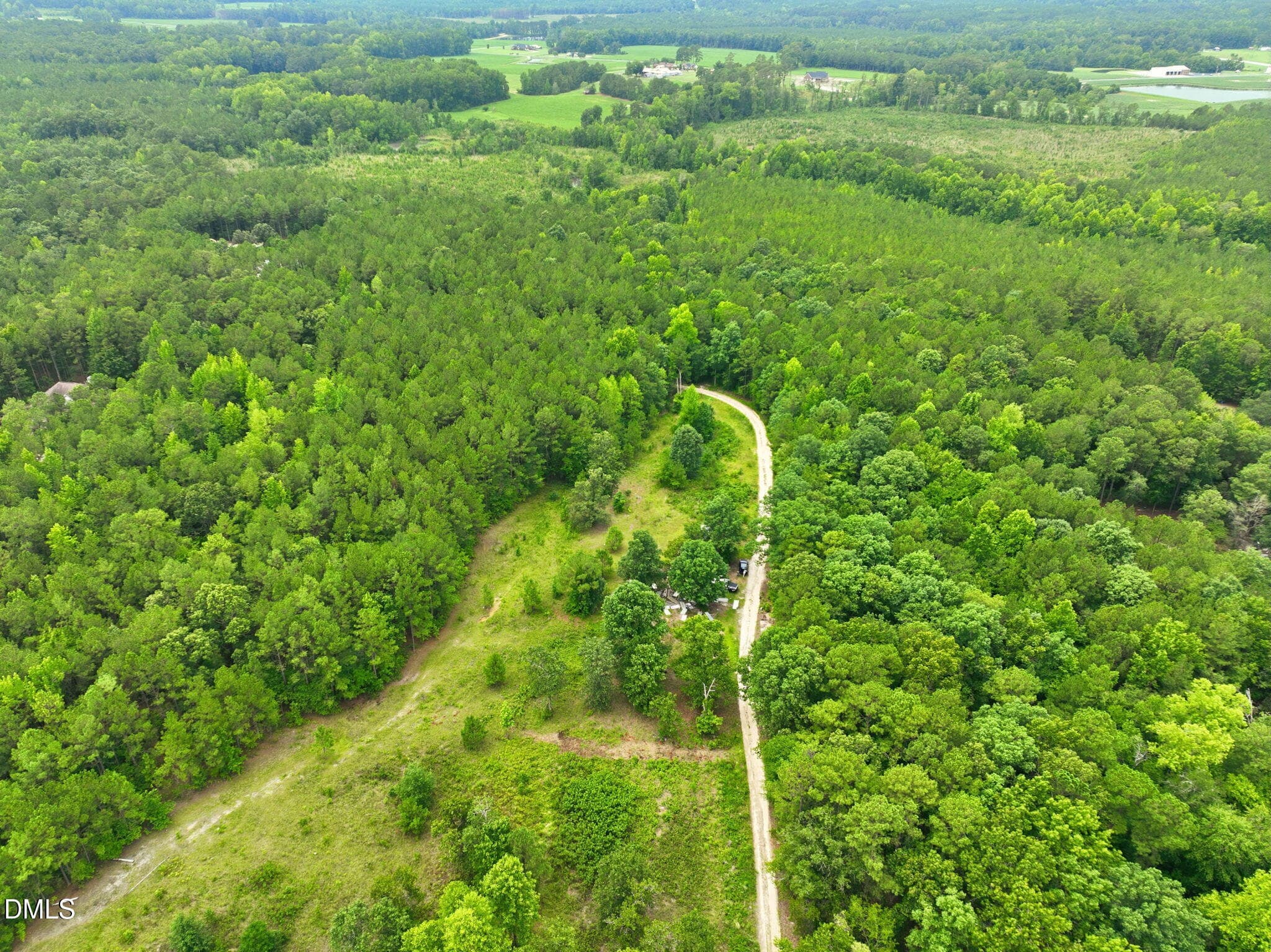 3-web-or-mls-DJI_0315 - 1025 Mike Williams Lane, Bunnlevel, NC 28323