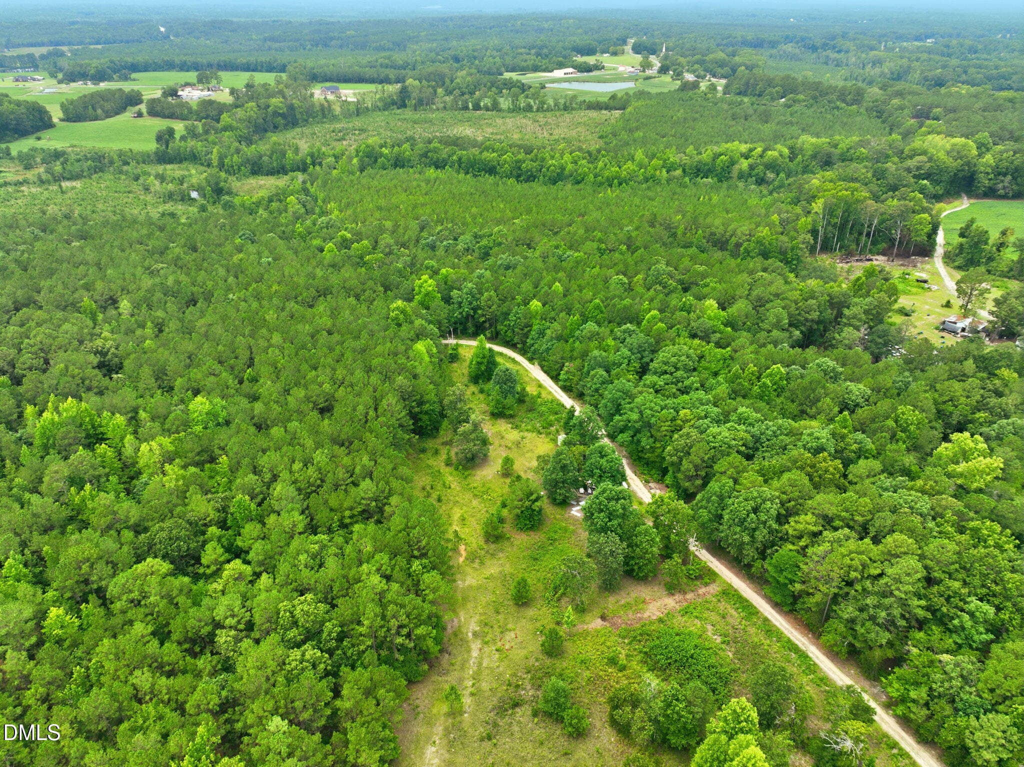4-web-or-mls-DJI_0316 - 1025 Mike Williams Lane, Bunnlevel, NC 28323