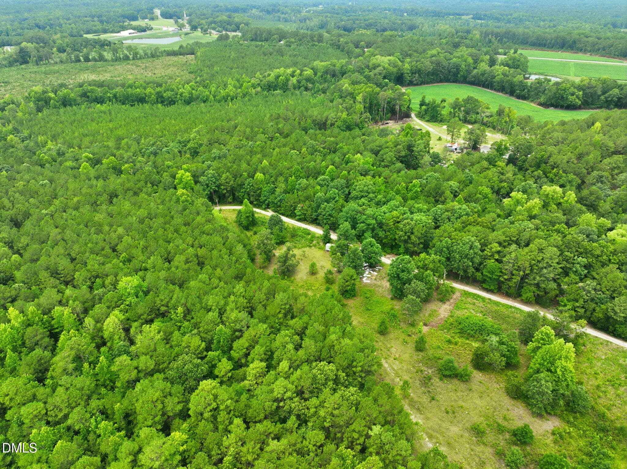 5-web-or-mls-DJI_0317 - 1025 Mike Williams Lane, Bunnlevel, NC 28323
