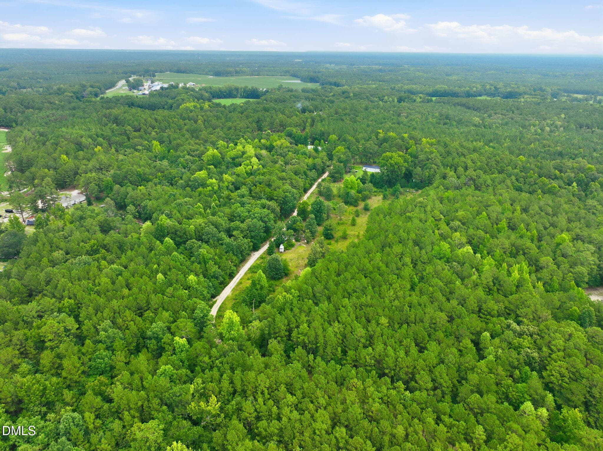 10-web-or-mls-DJI_0322 - 1025 Mike Williams Lane, Bunnlevel, NC 28323