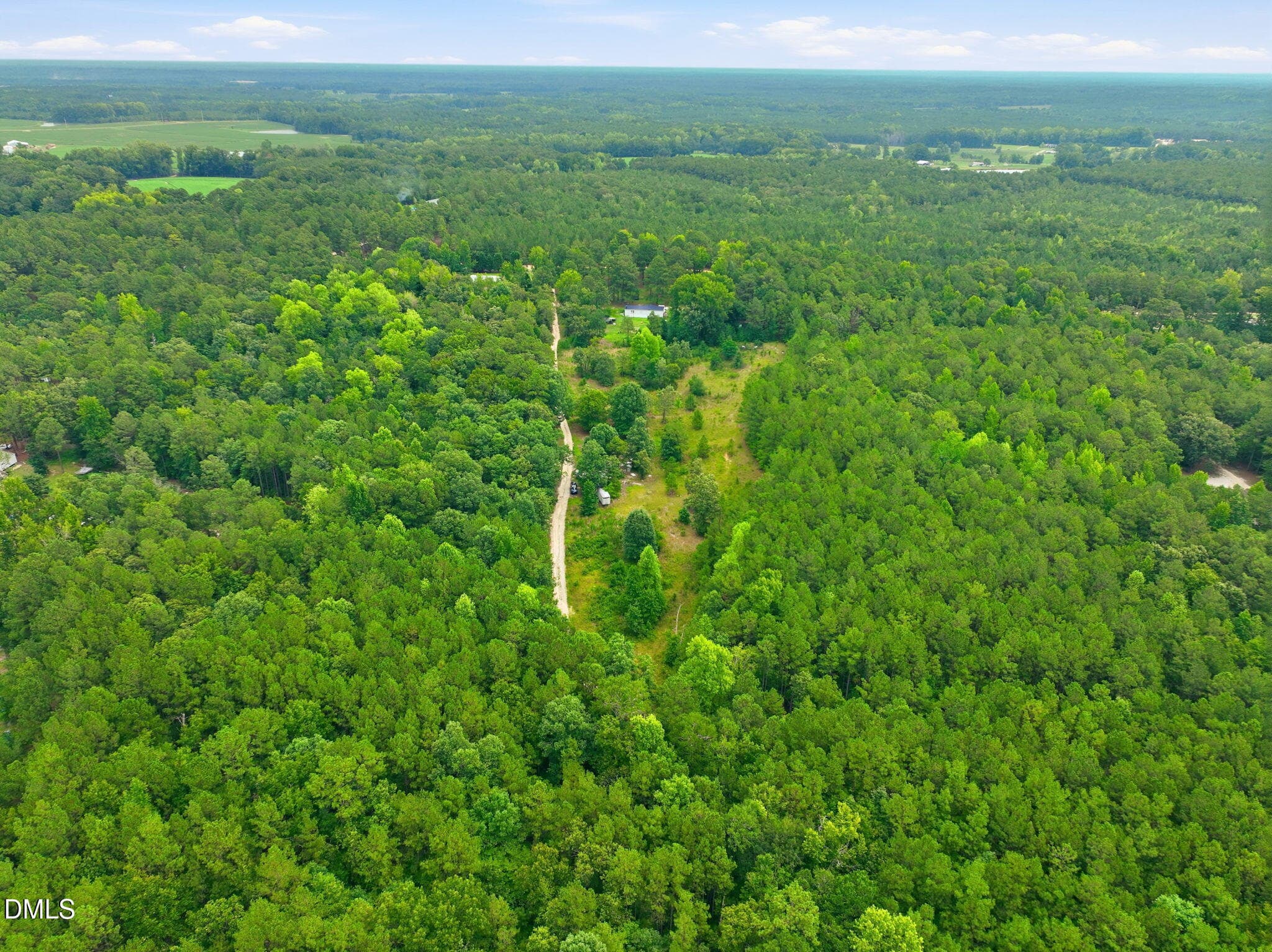 11-web-or-mls-DJI_0323 - 1025 Mike Williams Lane, Bunnlevel, NC 28323
