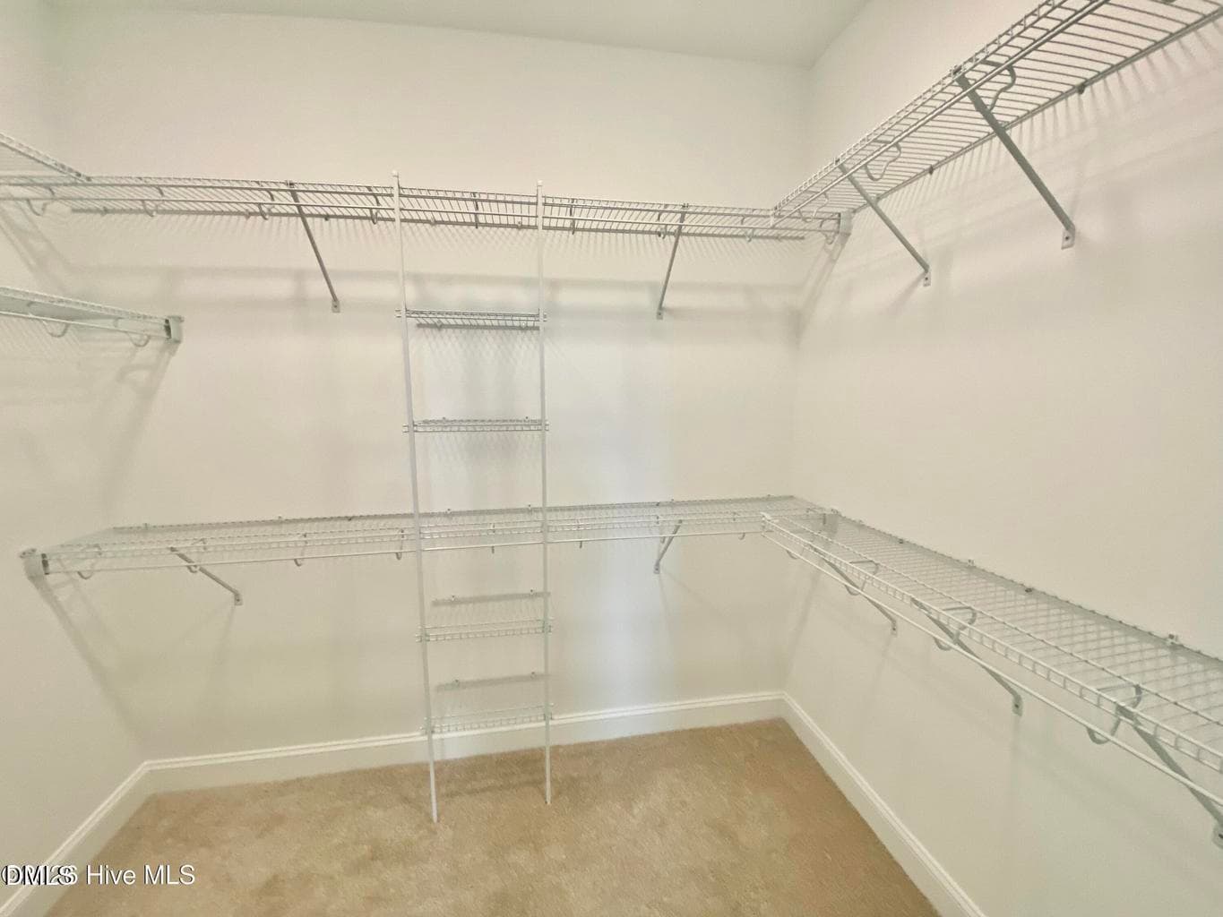 203 19 - 203 Rae Drive, Pikeville, NC 27863