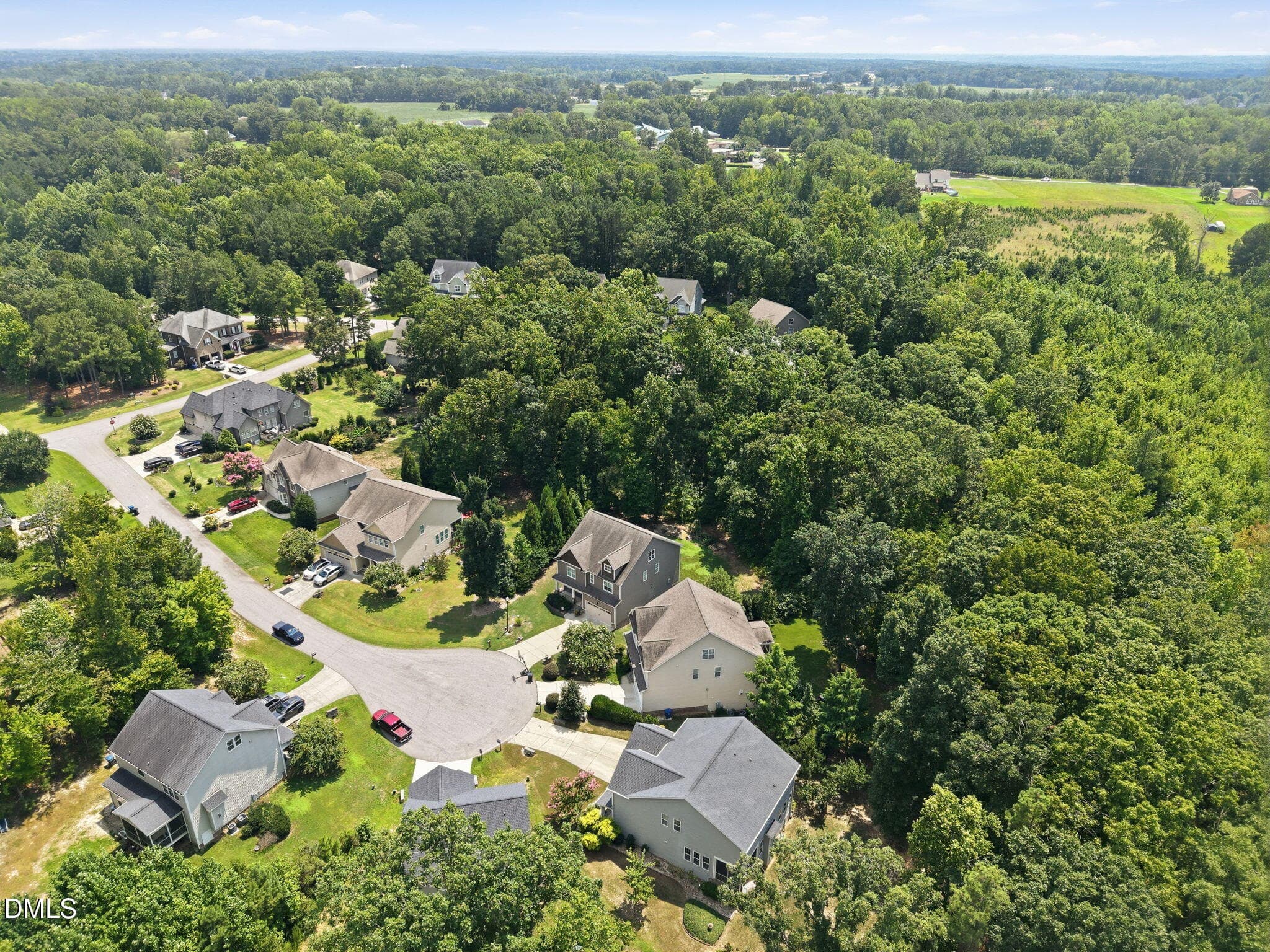 7-web-or-mls-DJI_20260729140614_0980_D_E - 1124 Armsleigh Court, Raleigh, NC 27603, Raleigh