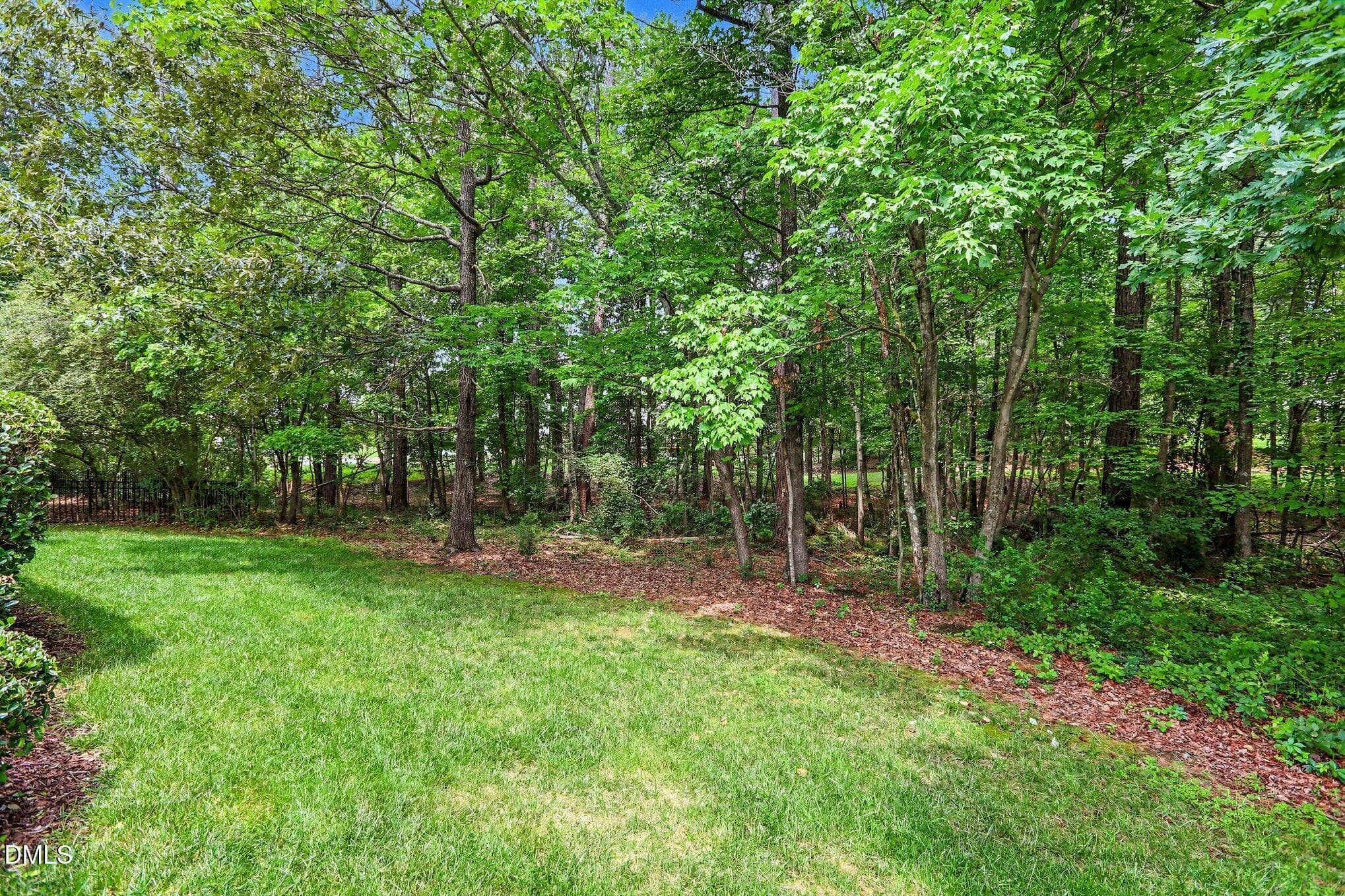 Back Yard - 3 Monteith Court, Durham, NC 27713, Durham