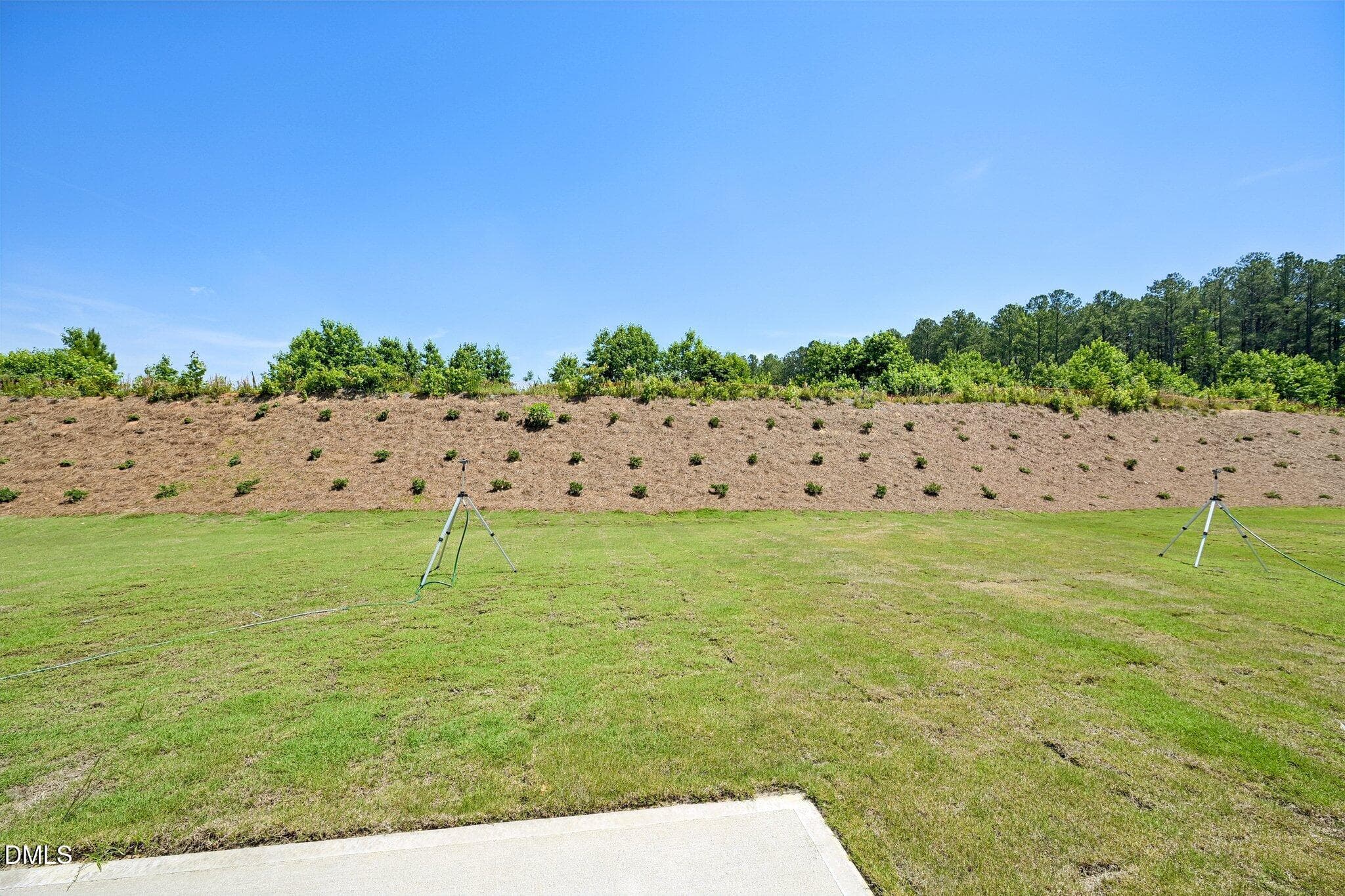 53-web-or-mls-Reagan Crst Dr 123-S0606-0 - 163 Reagan Crest Drive, Clayton, NC 27520
