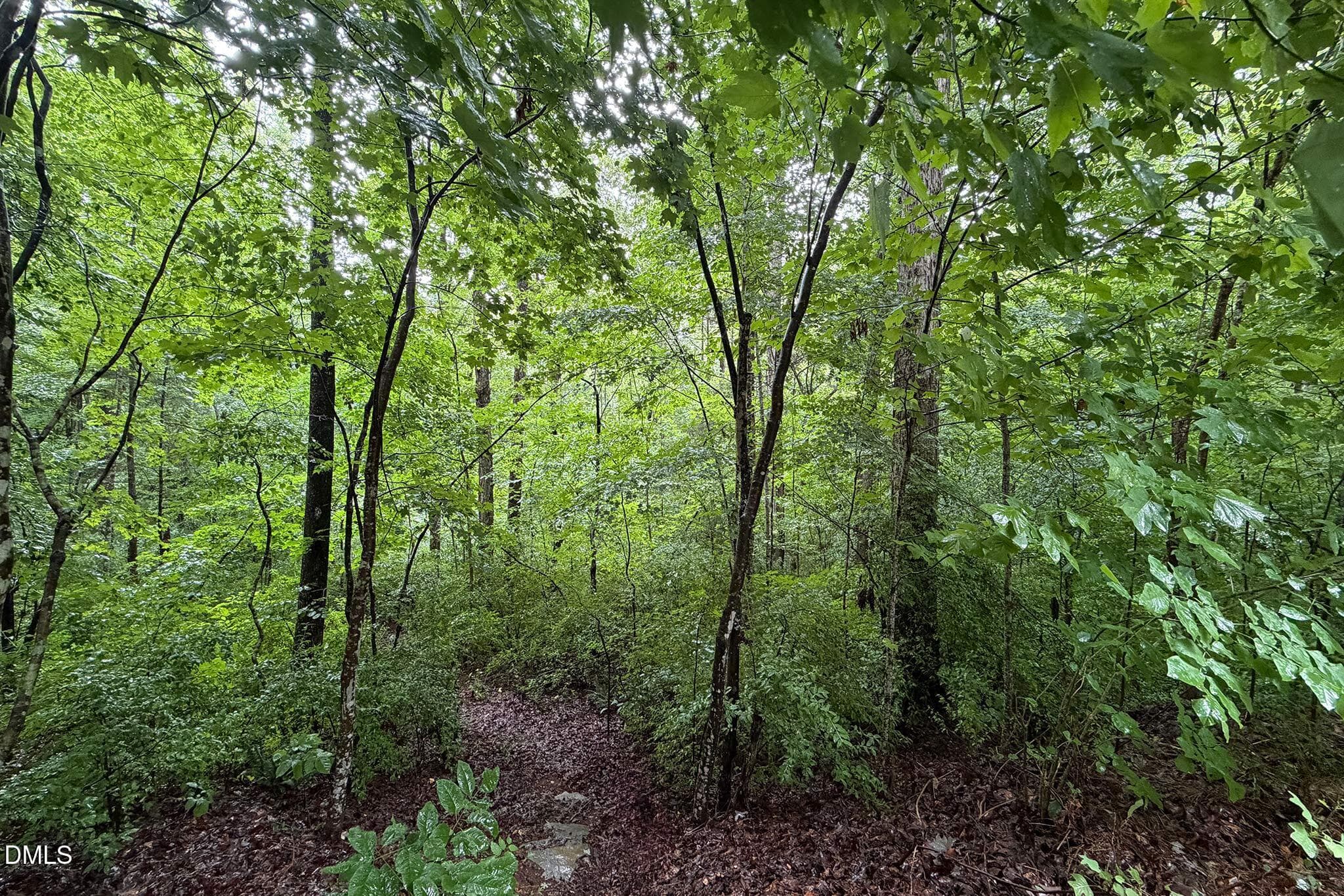 InRain-1 - 1001 Reaves Drive, Chapel Hill, NC 27516, Chapel Hill