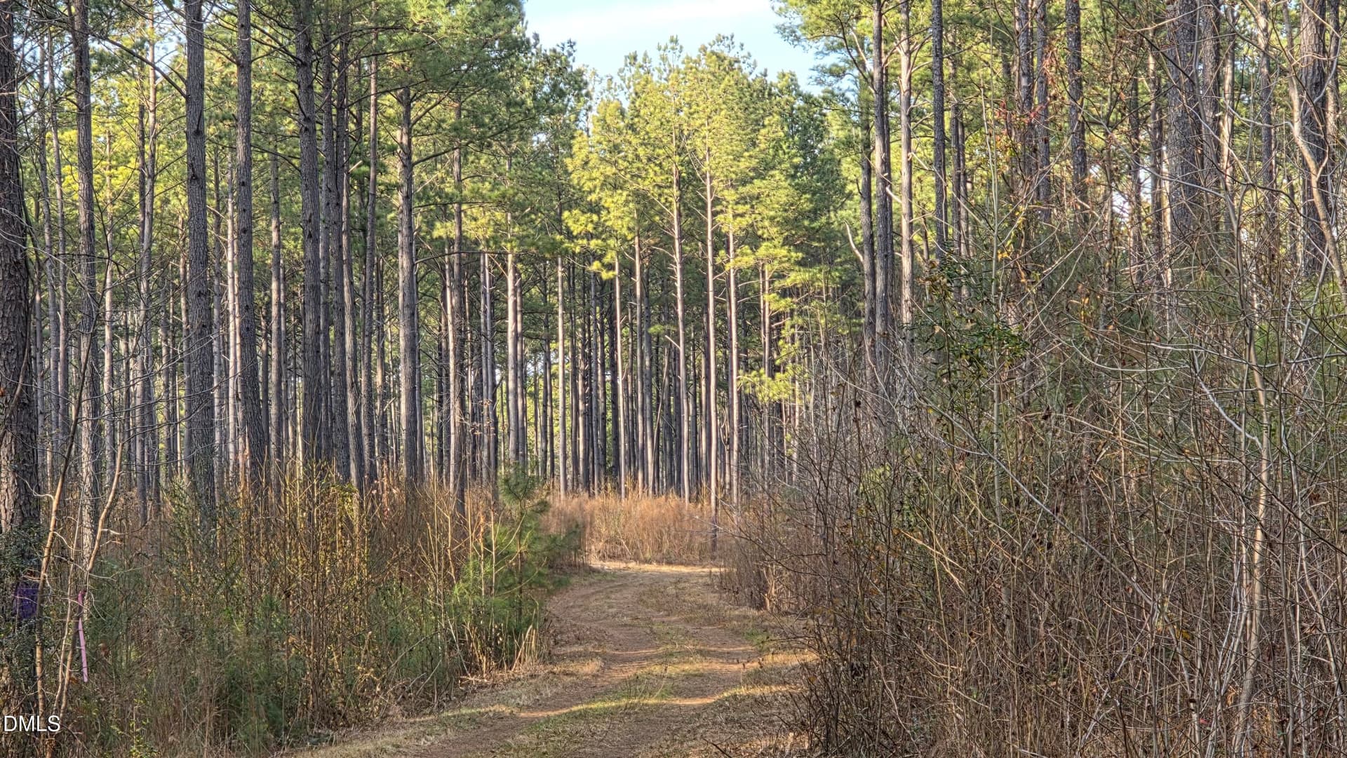 00 Hal Moore Lane, Louisburg, NC 27549