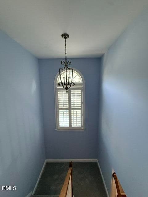 IMG_1983 - 12442 Pawleys Mill Circle, Raleigh, NC 27614, Raleigh