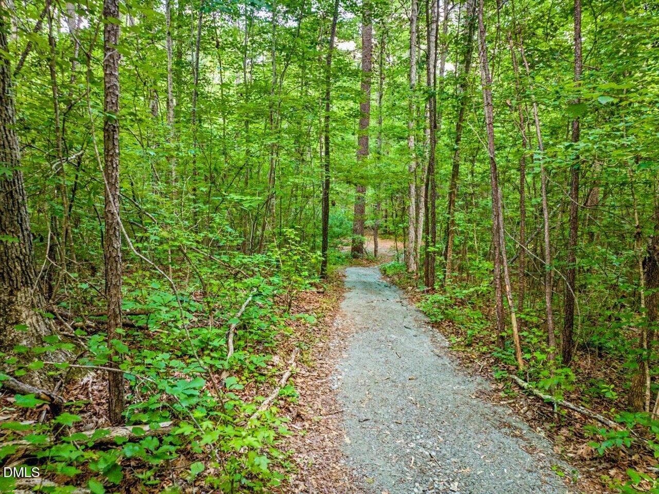 Path to River and Creek - 275 Mill Stone Road Ext., Moncure, NC 27559