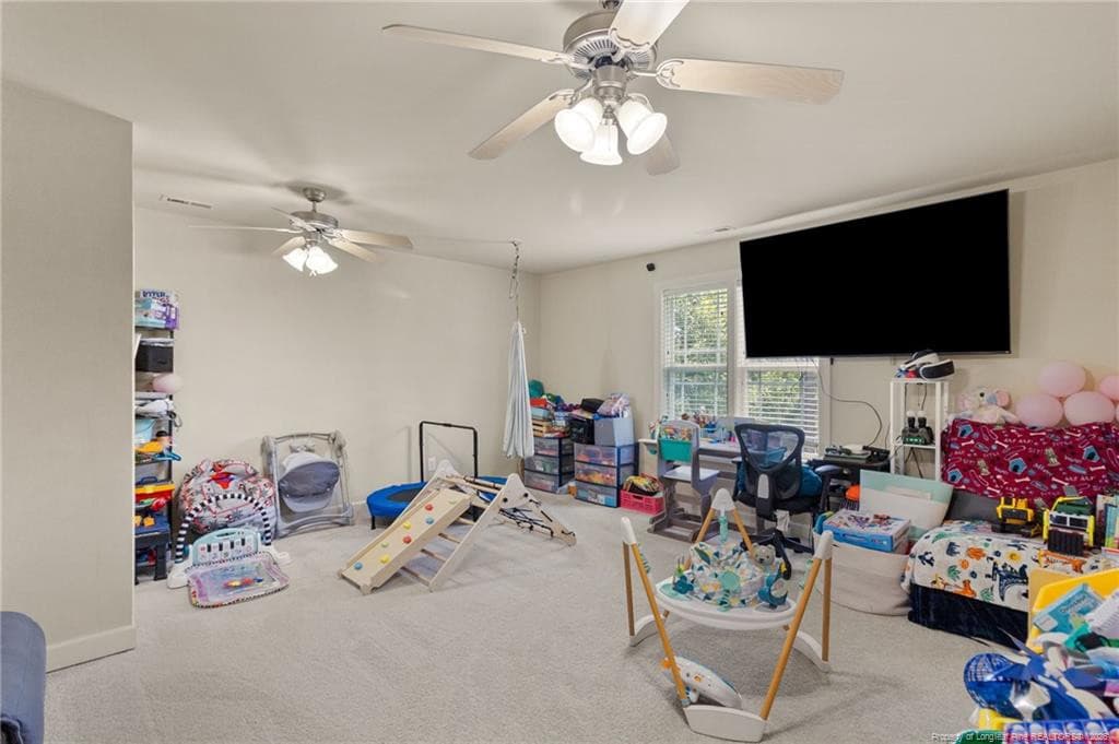 Photo 41 - 308 Lancelot Court, Linden, NC 28356