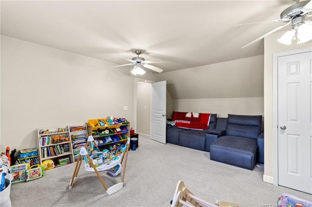 Photo 42 - 308 Lancelot Court, Linden, NC 28356