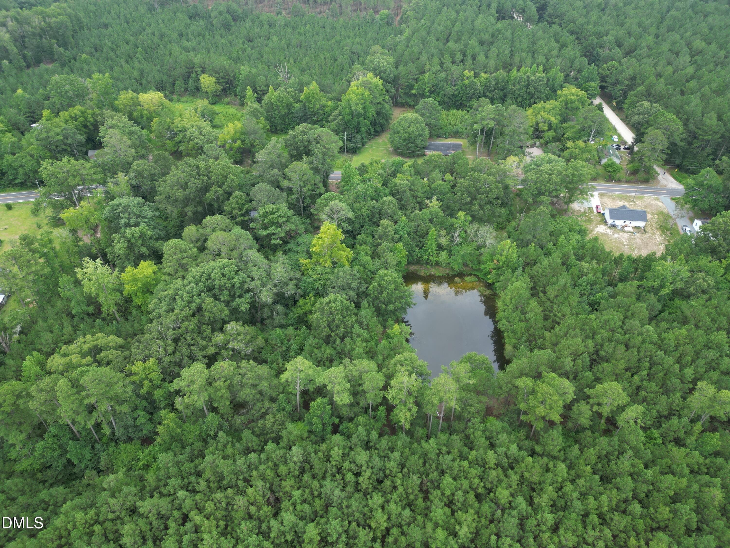 North Line Facing South - 1755 Bunnlevel Erwin Road, Bunnlevel, NC 28323