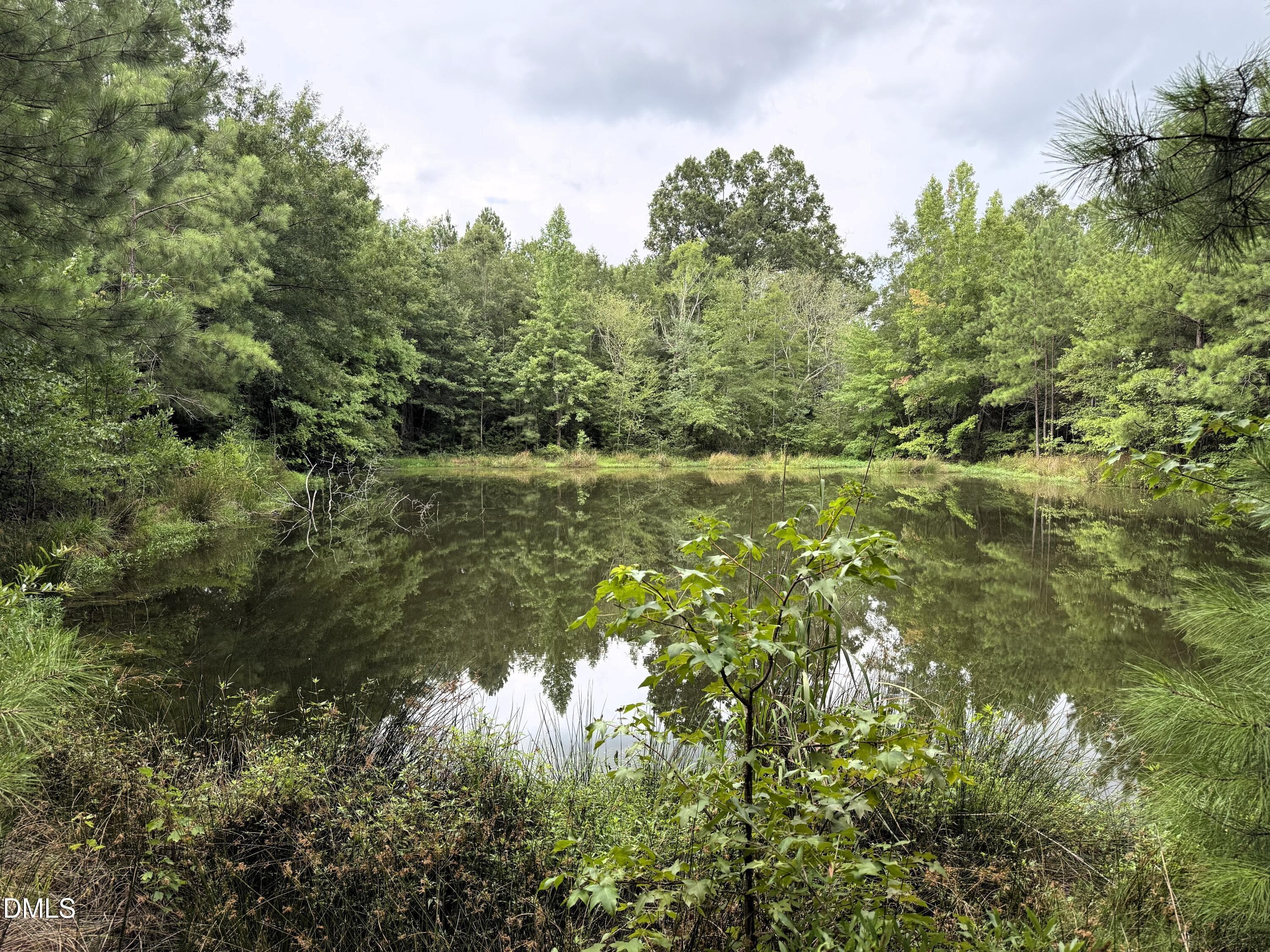 Pond East Side - 1755 Bunnlevel Erwin Road, Bunnlevel, NC 28323