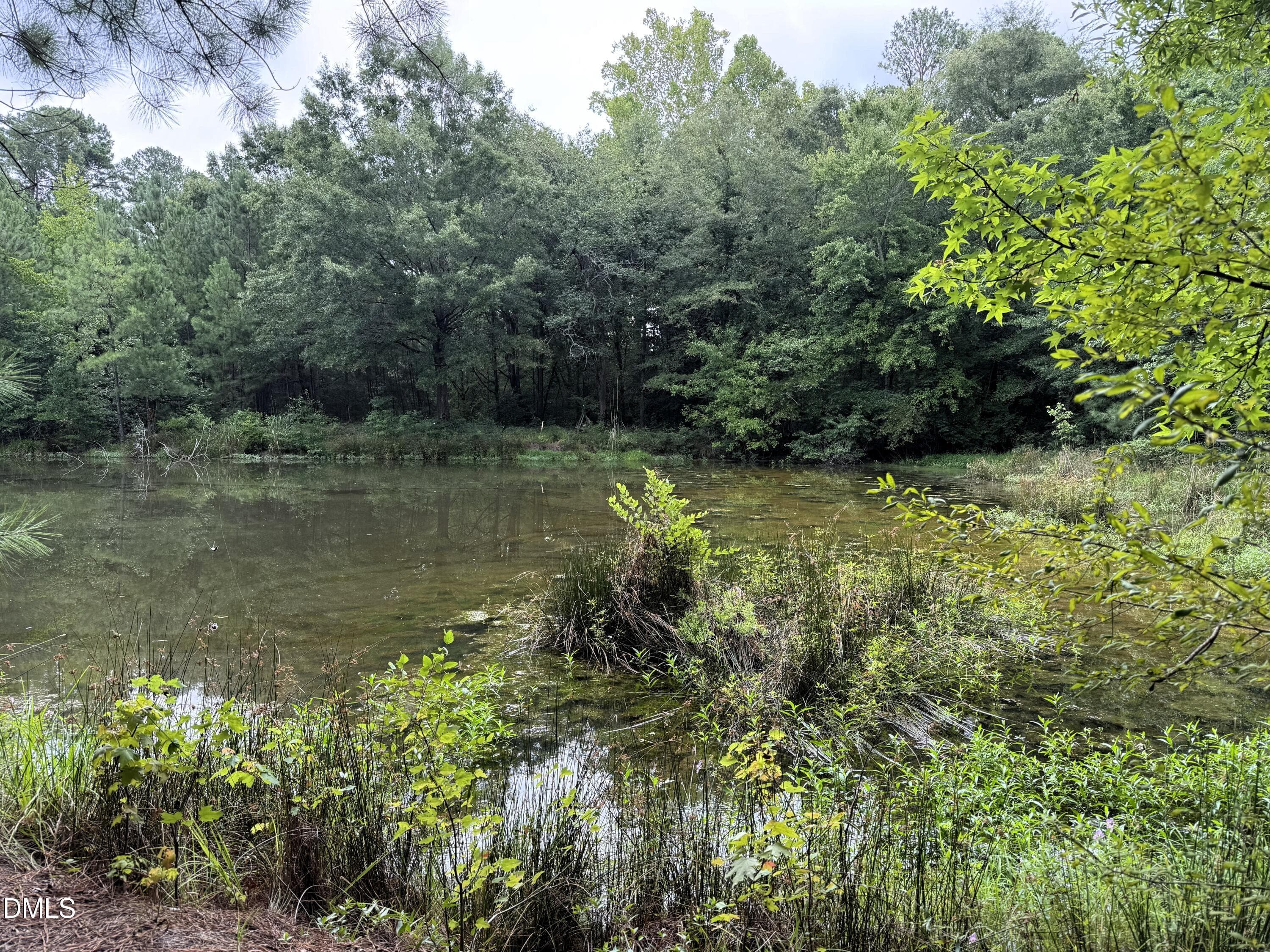 Pond West Side - 1755 Bunnlevel Erwin Road, Bunnlevel, NC 28323