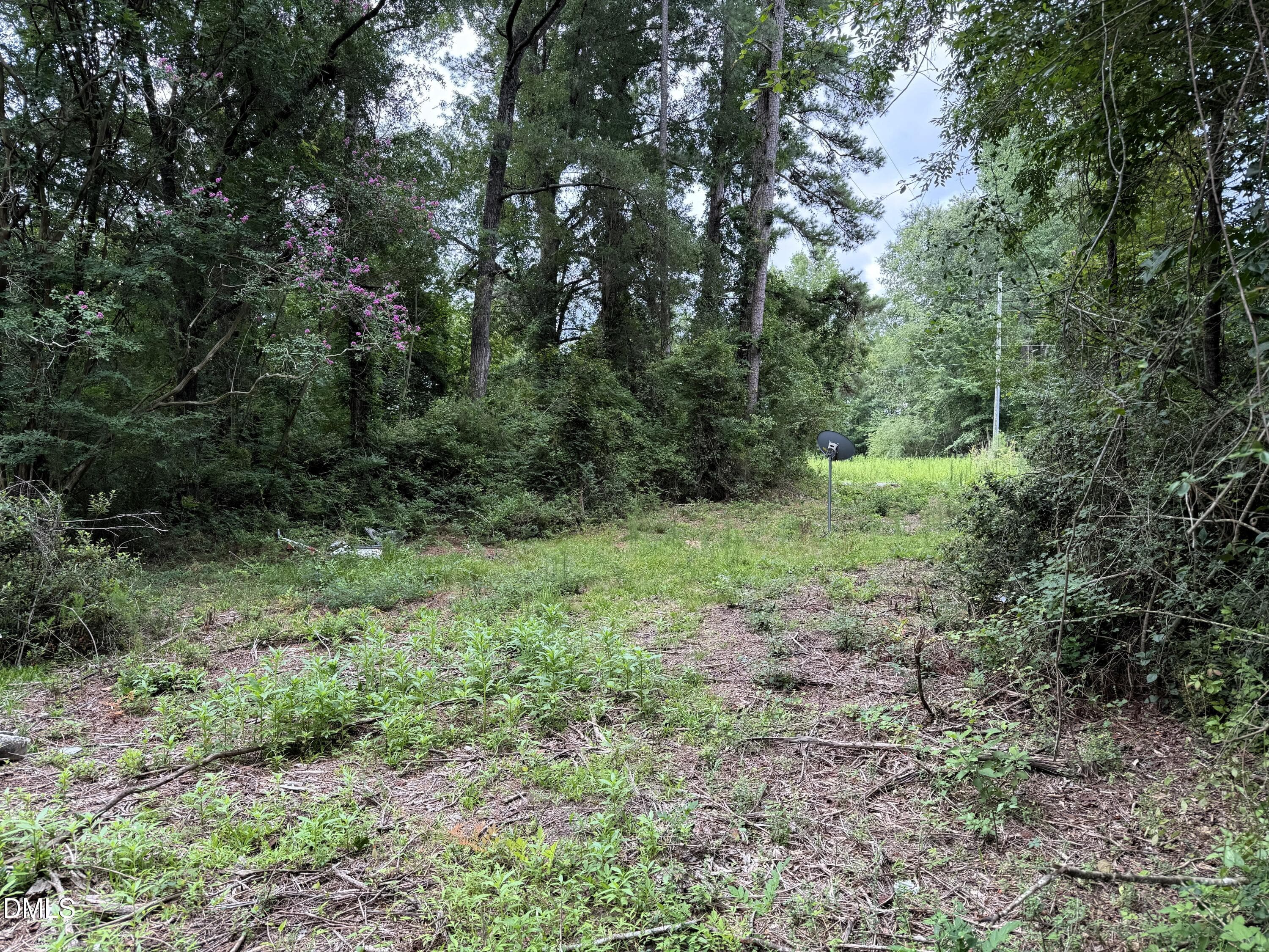 Power Pole Clearing - 1755 Bunnlevel Erwin Road, Bunnlevel, NC 28323