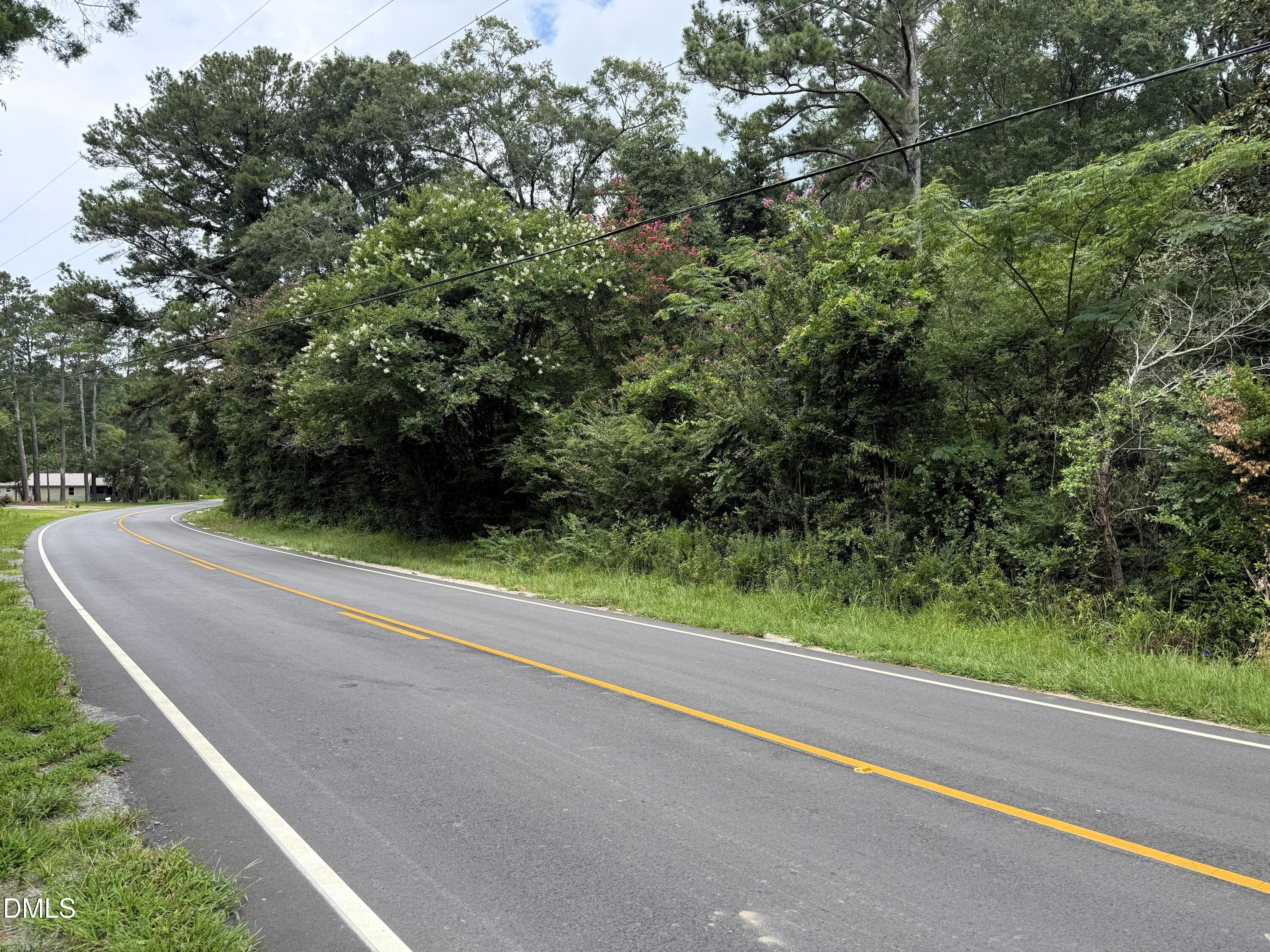 Road Frontage - 1755 Bunnlevel Erwin Road, Bunnlevel, NC 28323