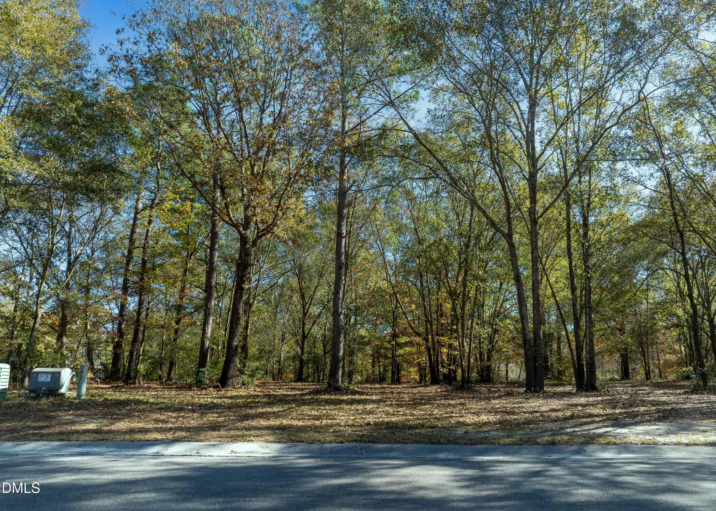 167 River Landing Drive MLS-1 - 167 River Ridge Drive, Wallace, NC 28466, Wallace