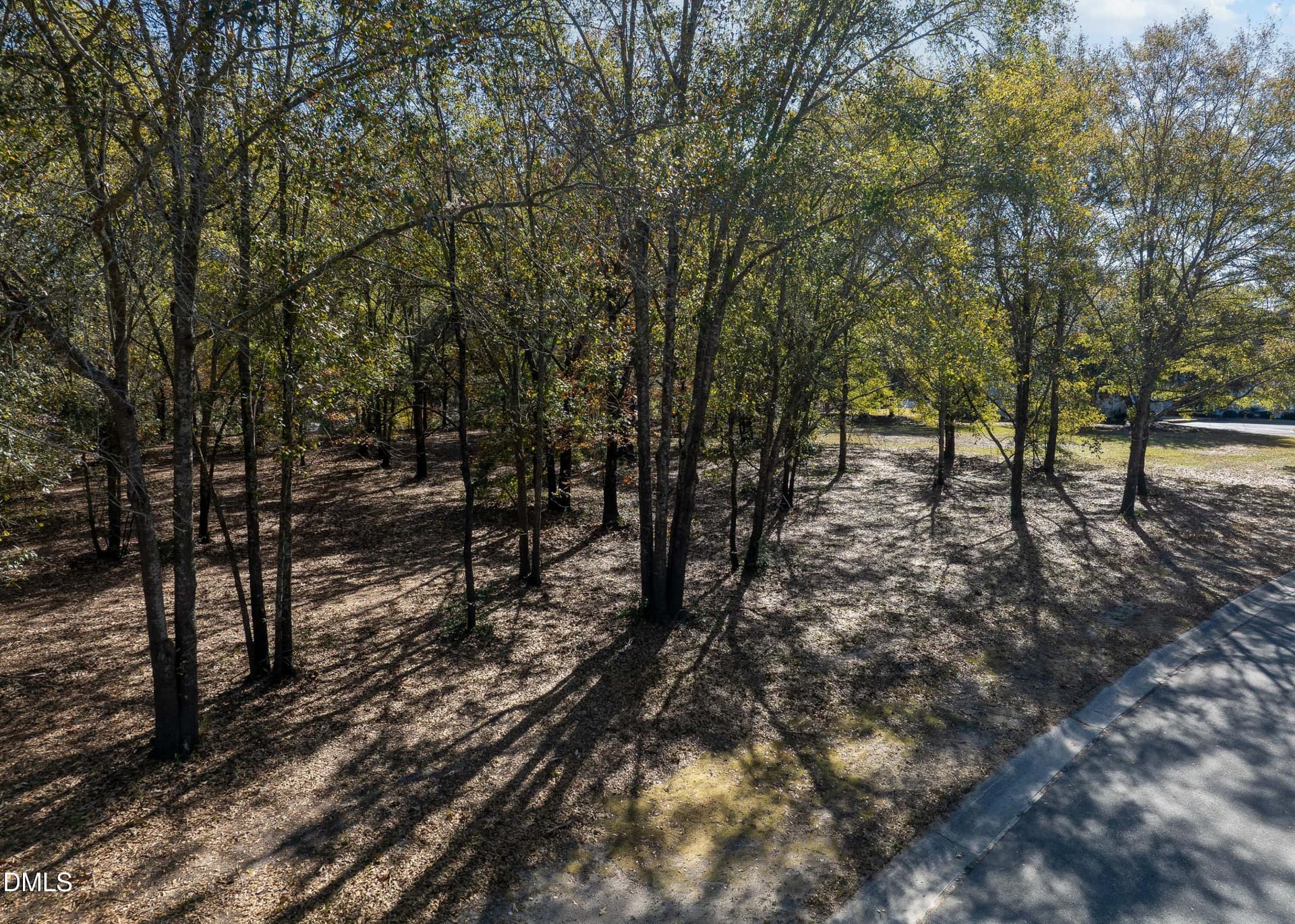 167 River Landing Drive MLS-3 - 167 River Ridge Drive, Wallace, NC 28466