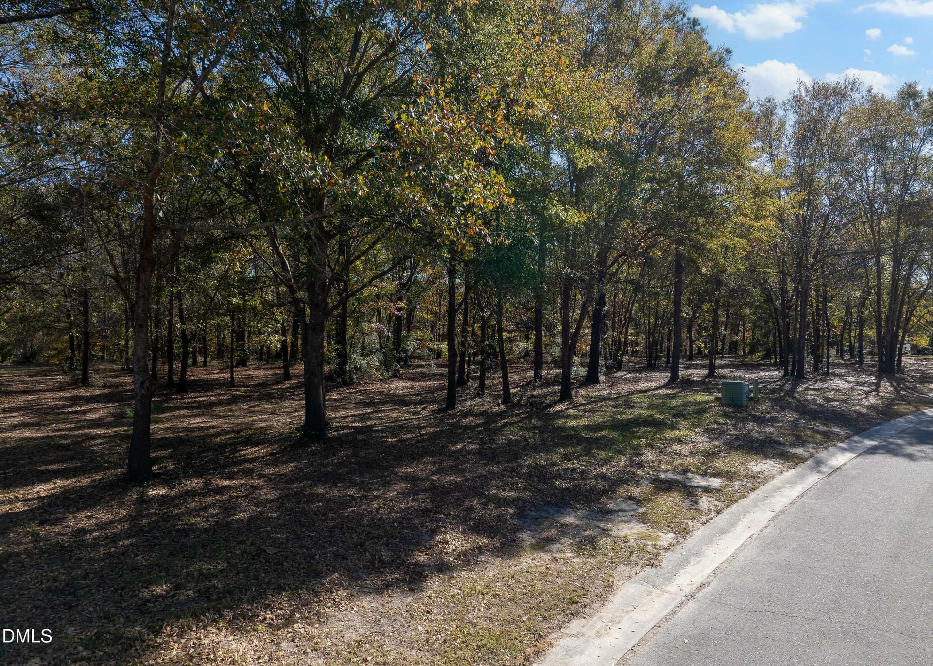 167 River Landing Drive MLS-5 - 167 River Ridge Drive, Wallace, NC 28466