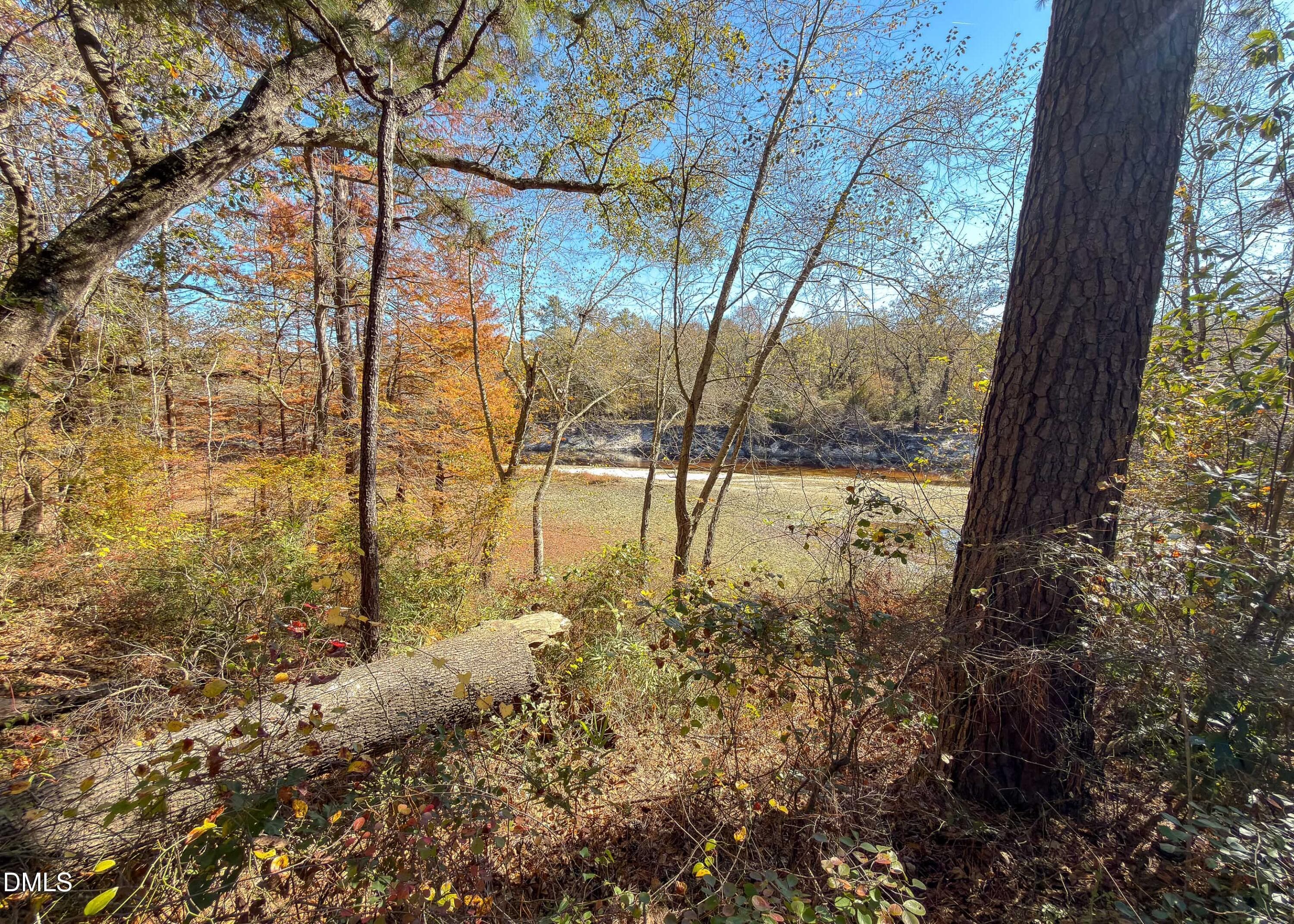 167 River Landing Drive MLS-10 - 167 River Ridge Drive, Wallace, NC 28466, Wallace