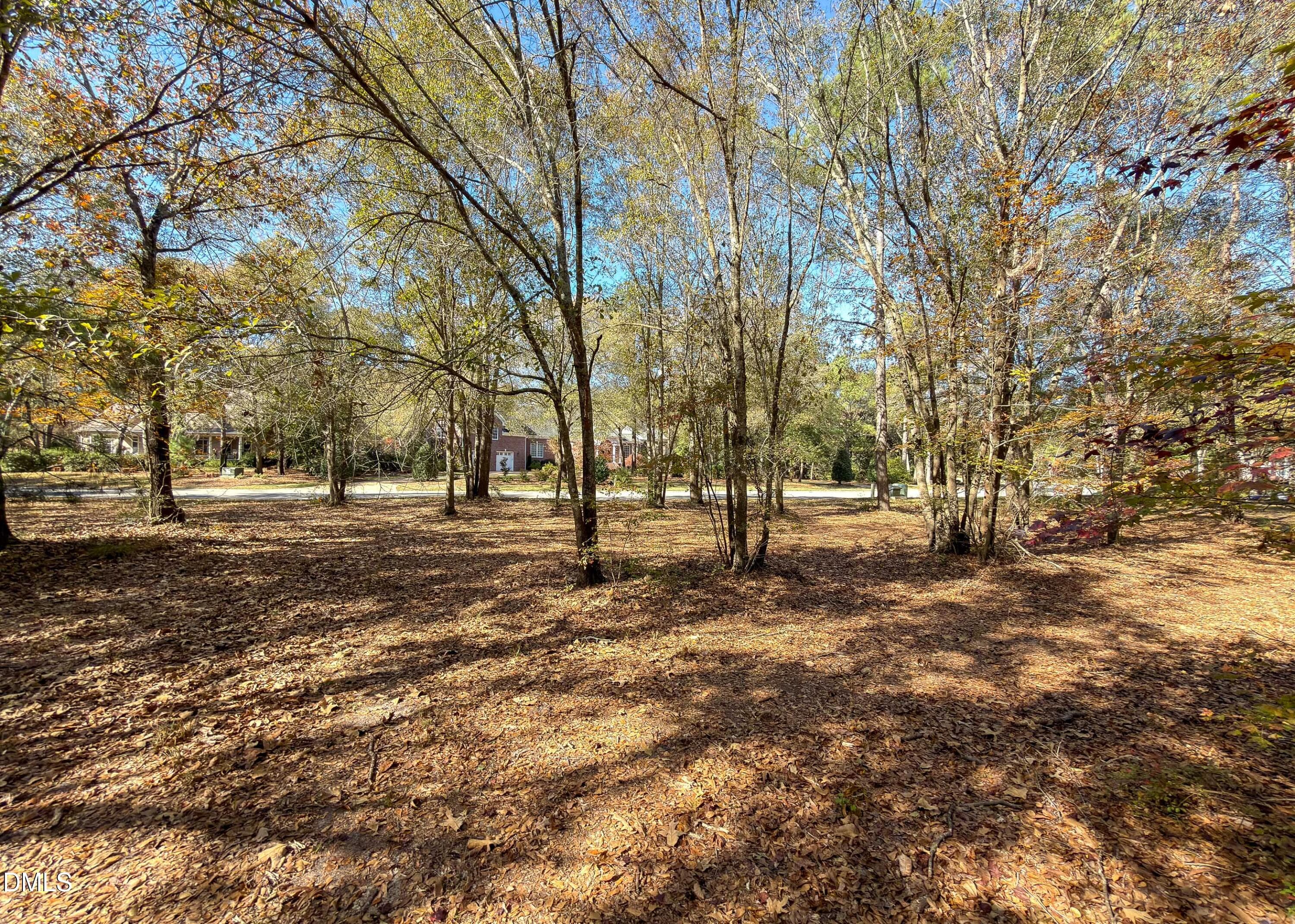 167 River Landing Drive MLS-12 - 167 River Ridge Drive, Wallace, NC 28466, Wallace