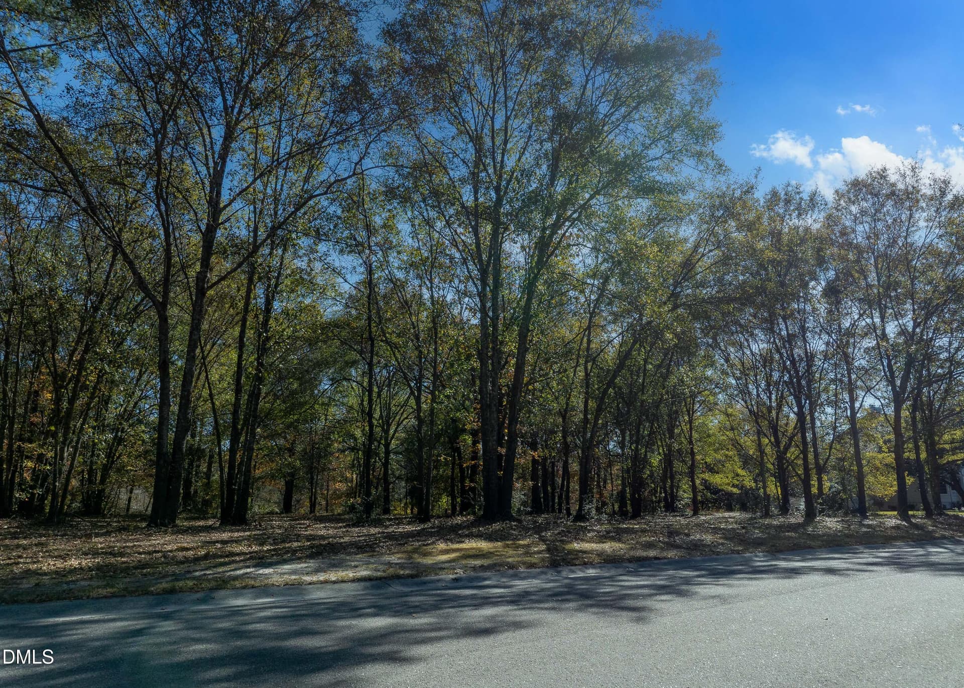 167 River Landing Drive MLS-13 - 167 River Ridge Drive, Wallace, NC 28466