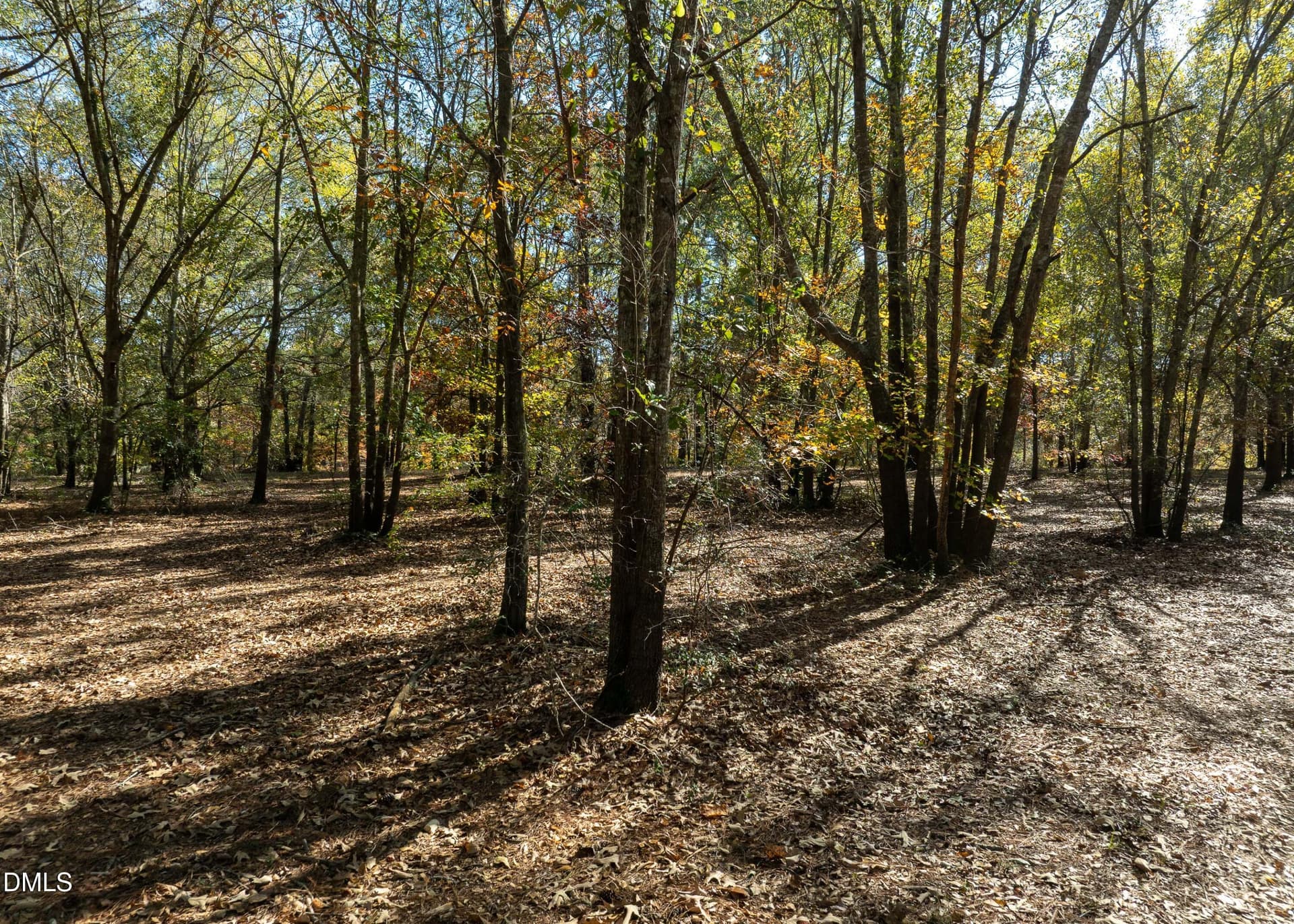 167 River Landing Drive MLS-31 - 167 River Ridge Drive, Wallace, NC 28466