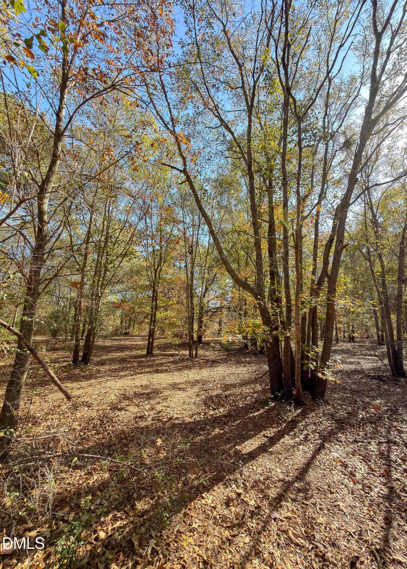 167 River Landing Drive MLS-33 - 167 River Ridge Drive, Wallace, NC 28466, Wallace
