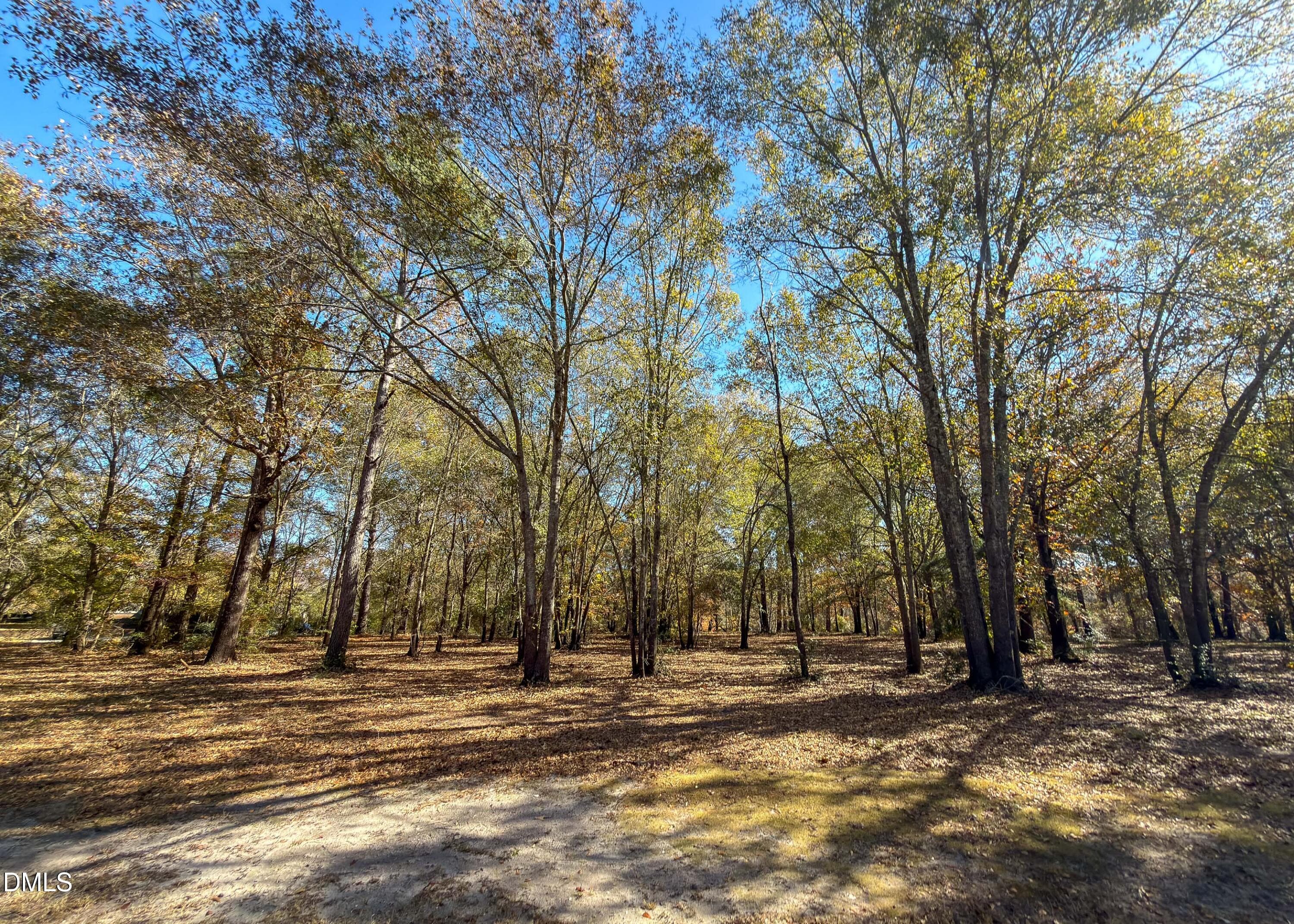 167 River Landing Drive MLS-36 - 167 River Ridge Drive, Wallace, NC 28466, Wallace