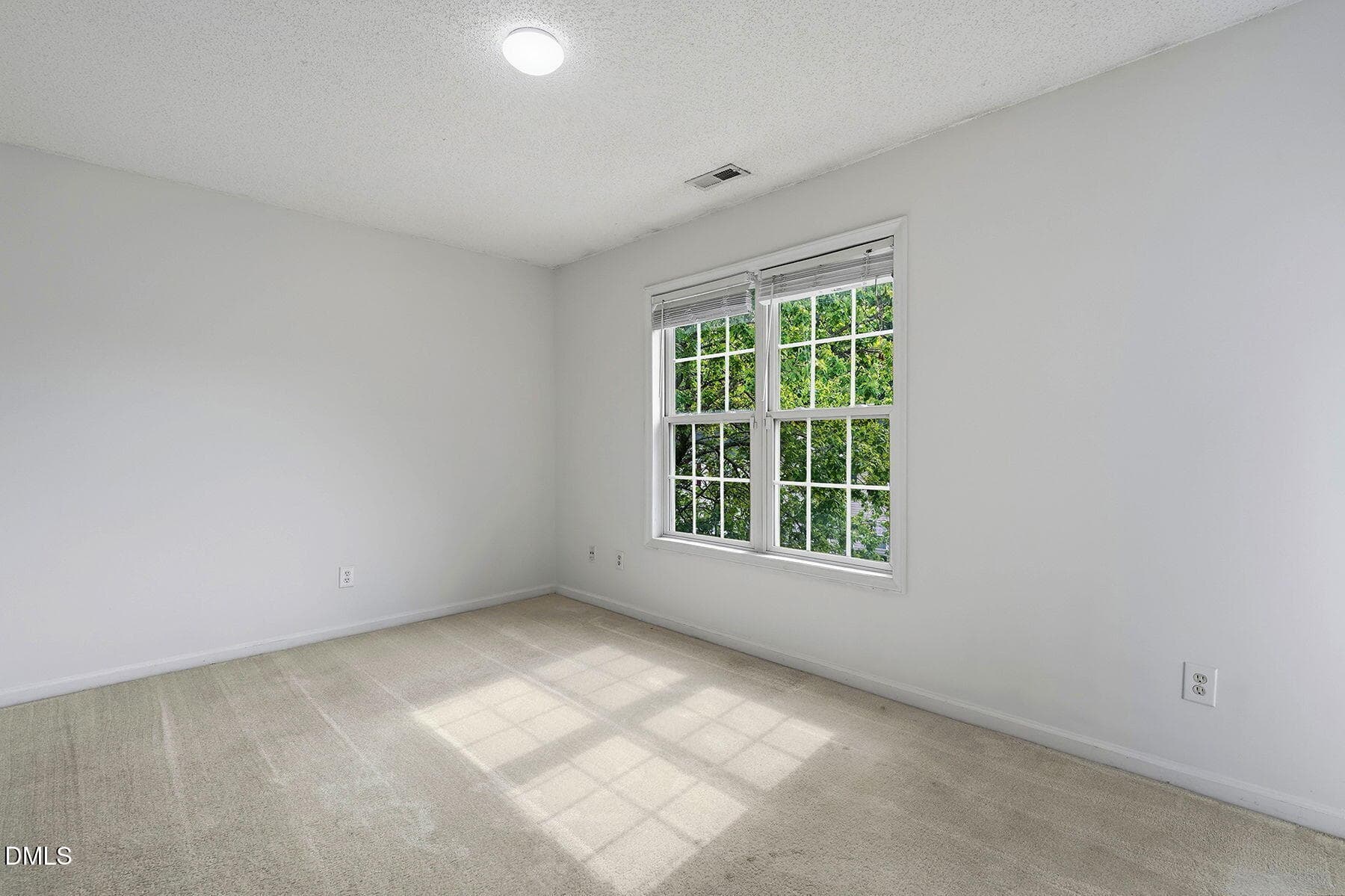 22-web-or-mls-2130 Walnut Bluffs Ln-19 - 2130 Walnut Bluffs Lane, Raleigh, NC 27610, Raleigh