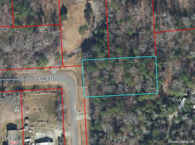 Coe St - 0 Coe Street, Timberlake, NC 27583