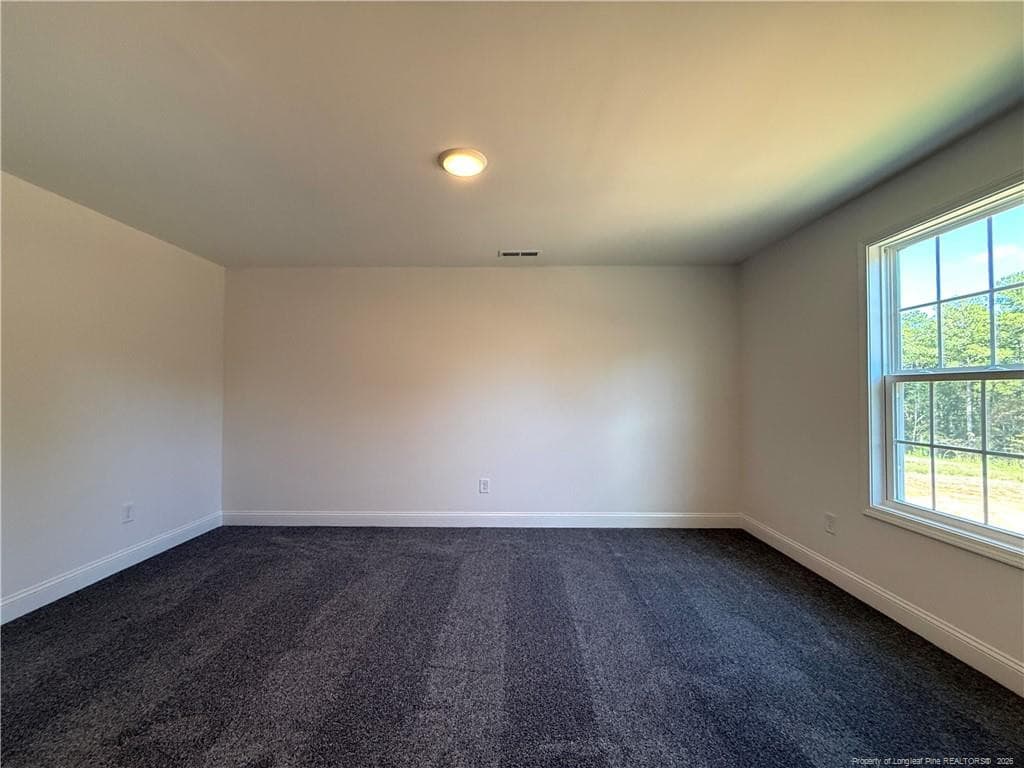 Photo 38 - 88 Pikewood Court, Lillington, NC 27546