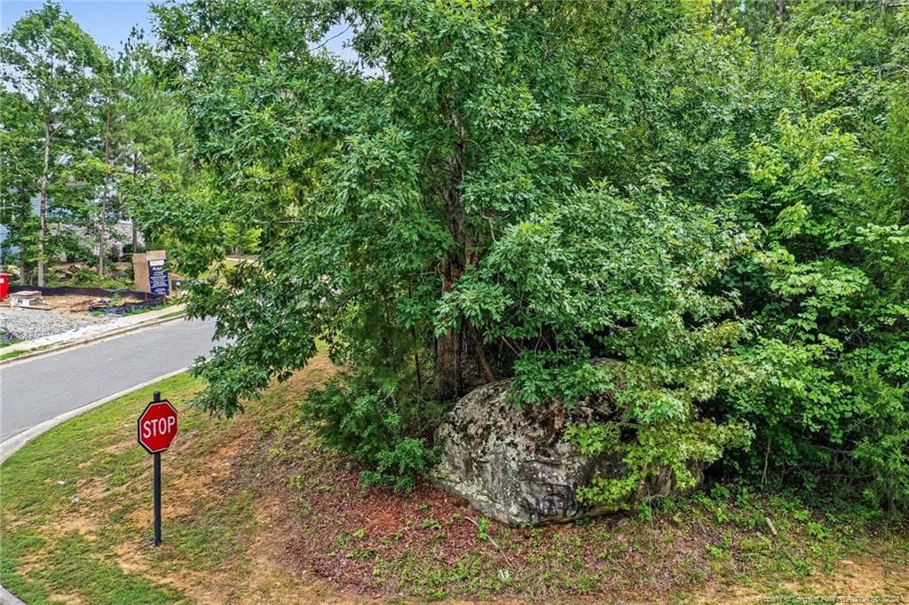 Photo 6 - 17 Sweet Meadow Lane, Pittsboro, NC 27312