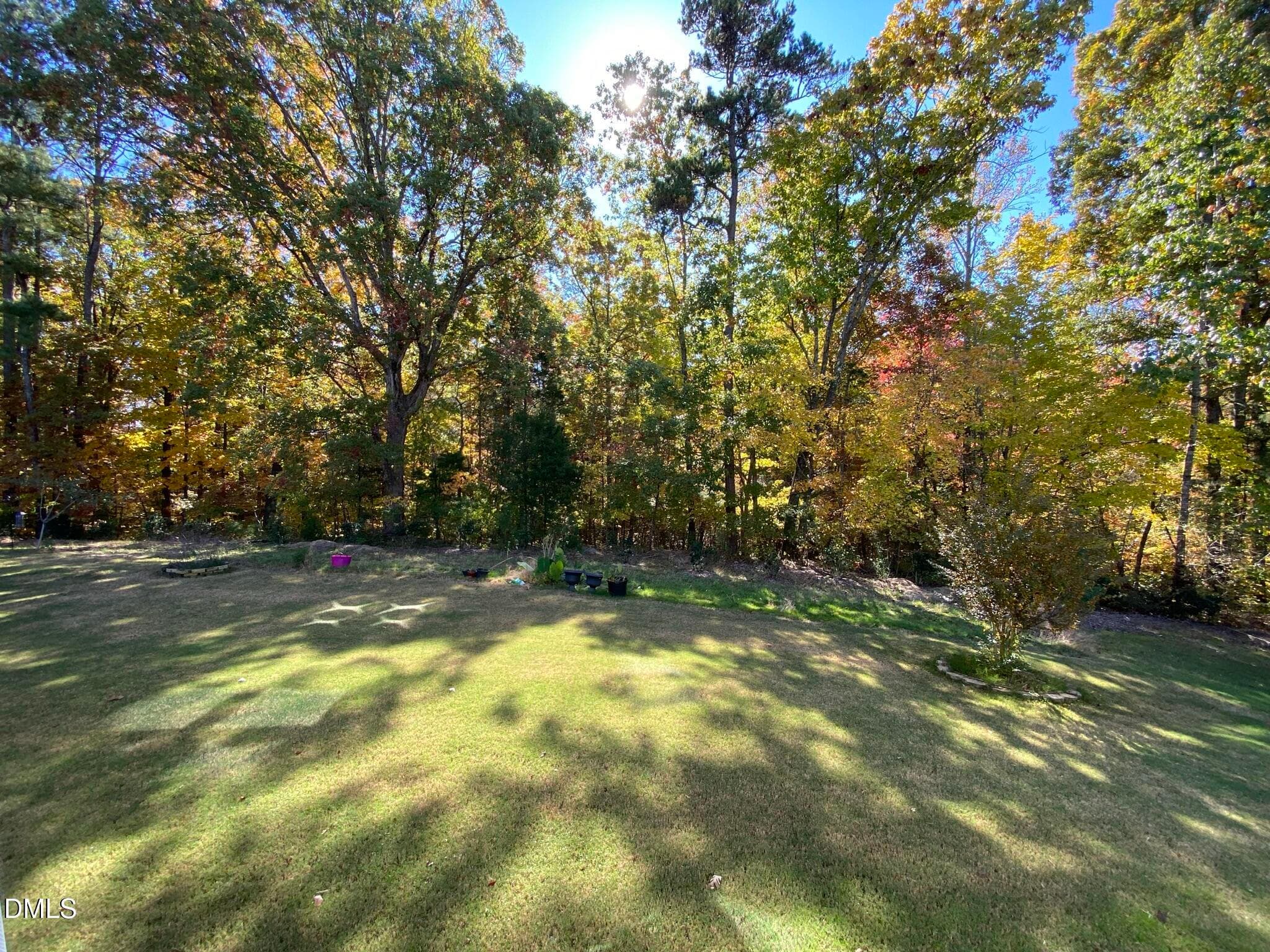 IMG_9510 - 1065 Bender Ridge Drive, Morrisville, NC 27560