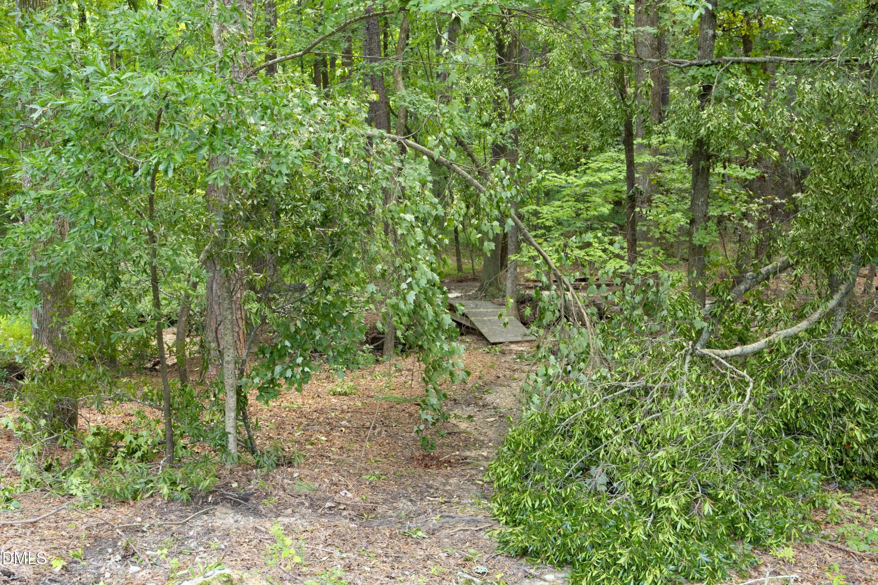 Trail - 13304 Ashford Park Drive, Raleigh, NC 27613, Raleigh