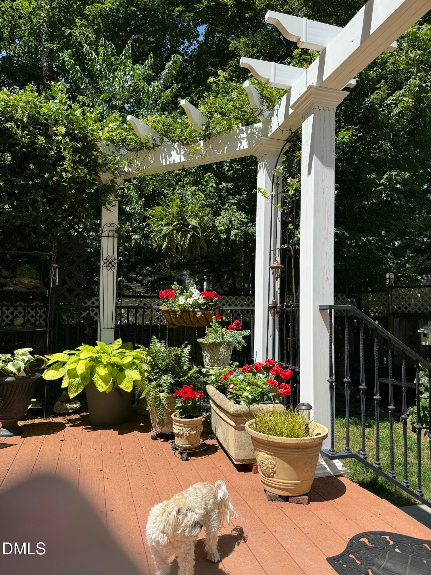 Deck previous summer - 2269 Brisbayne Circle, Raleigh, NC 27615, Raleigh