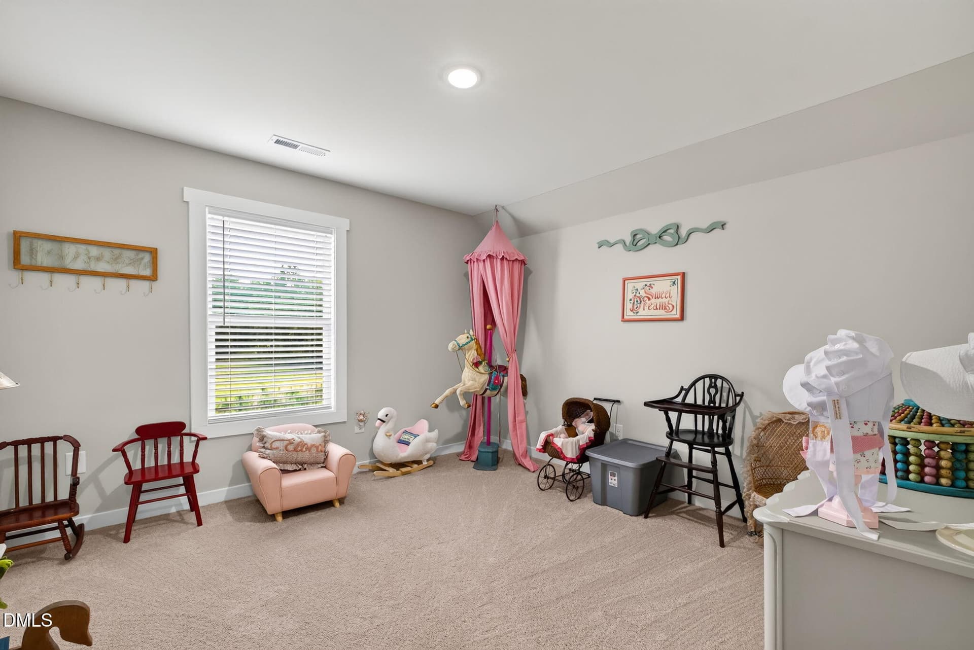 34-web-or-mls-DSC06986 - 300 Yellowwood Avenue, Spring Hope, NC 27882
